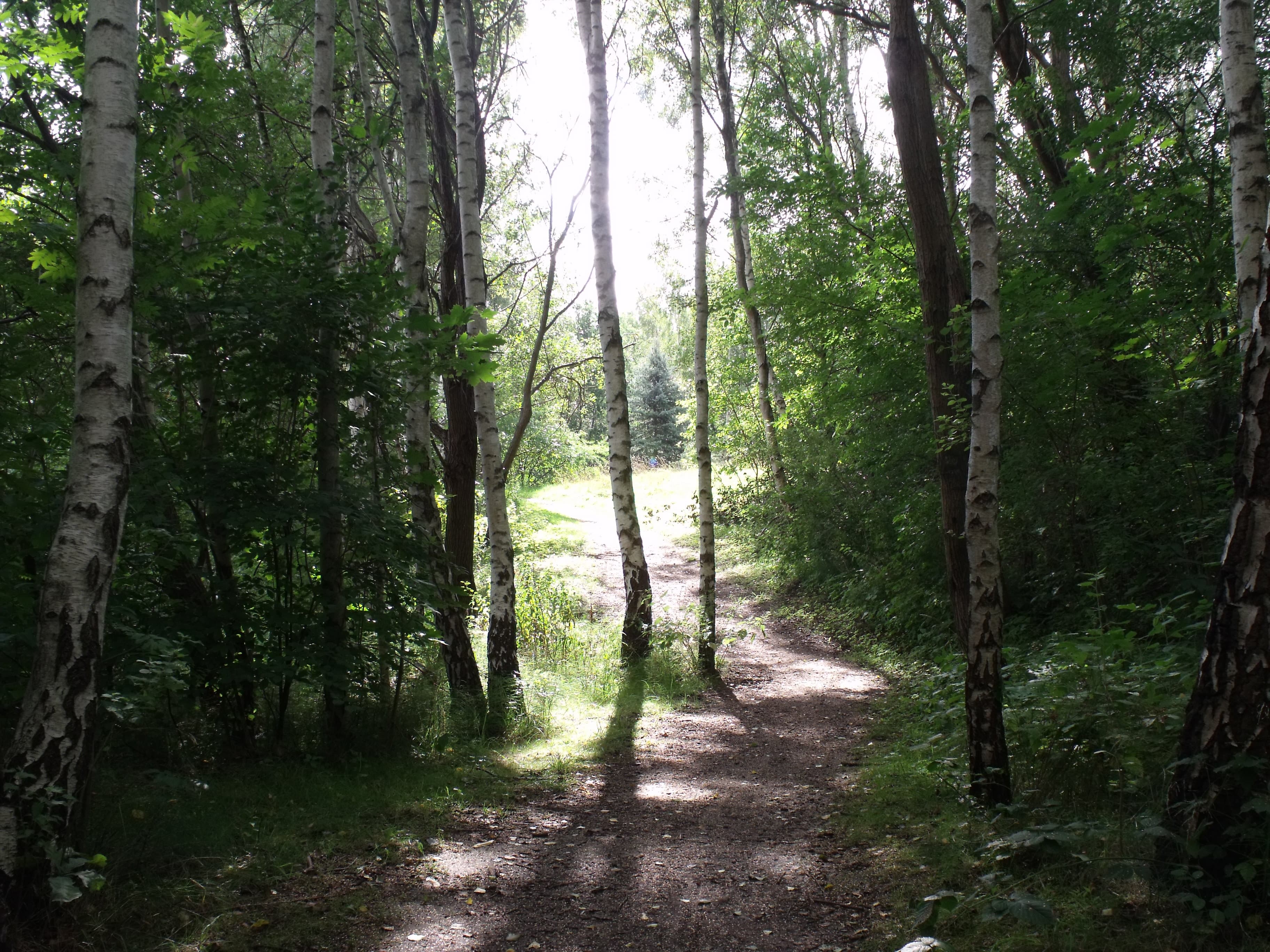 Flüggenhofsee Rundweg