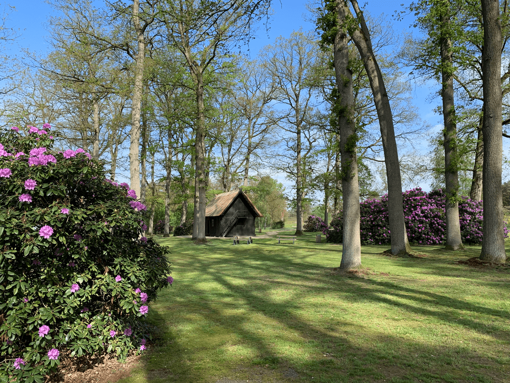 Rhododendronblüte am Treppenspeicher