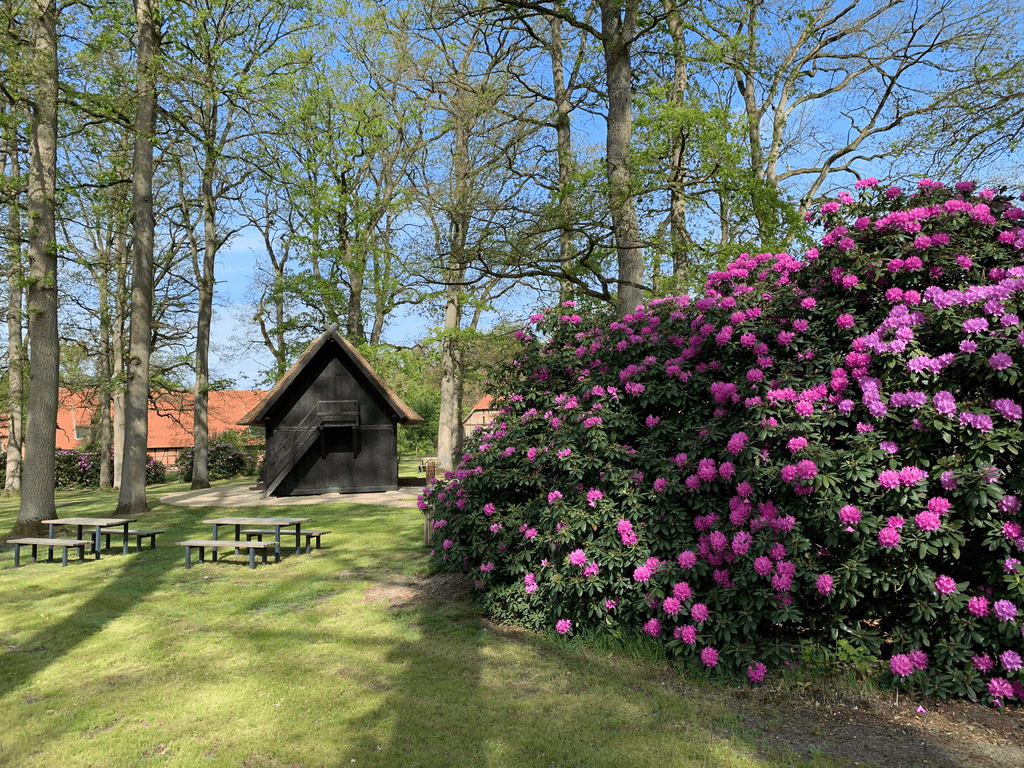 Rhododendronblüte am Treppenspeicher