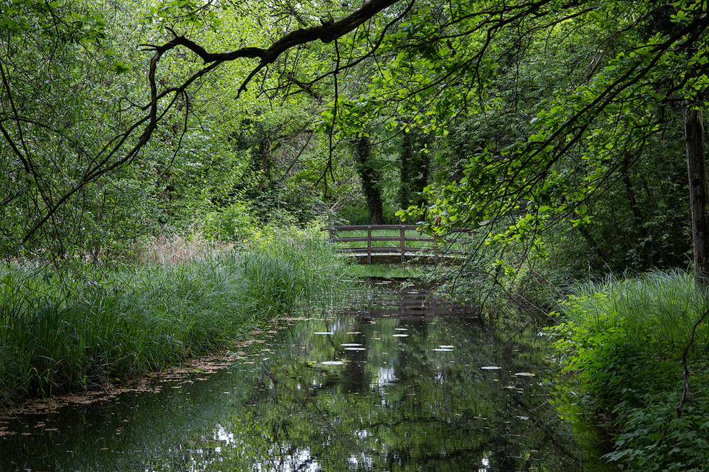 Wandern im Klosterpark