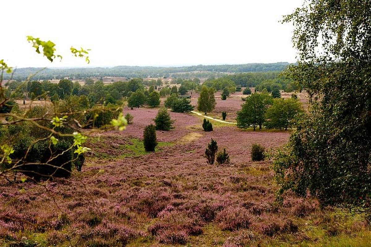 Undeloher Heide