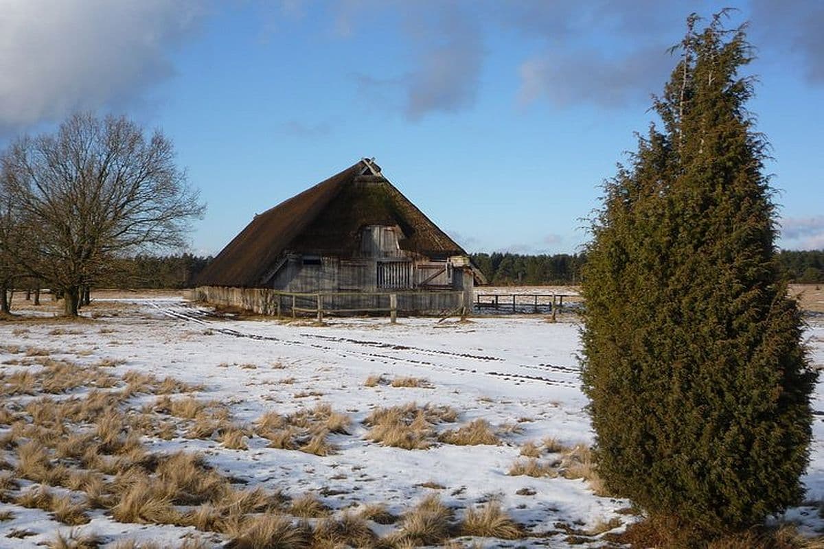 Undeloher Heide, Winter