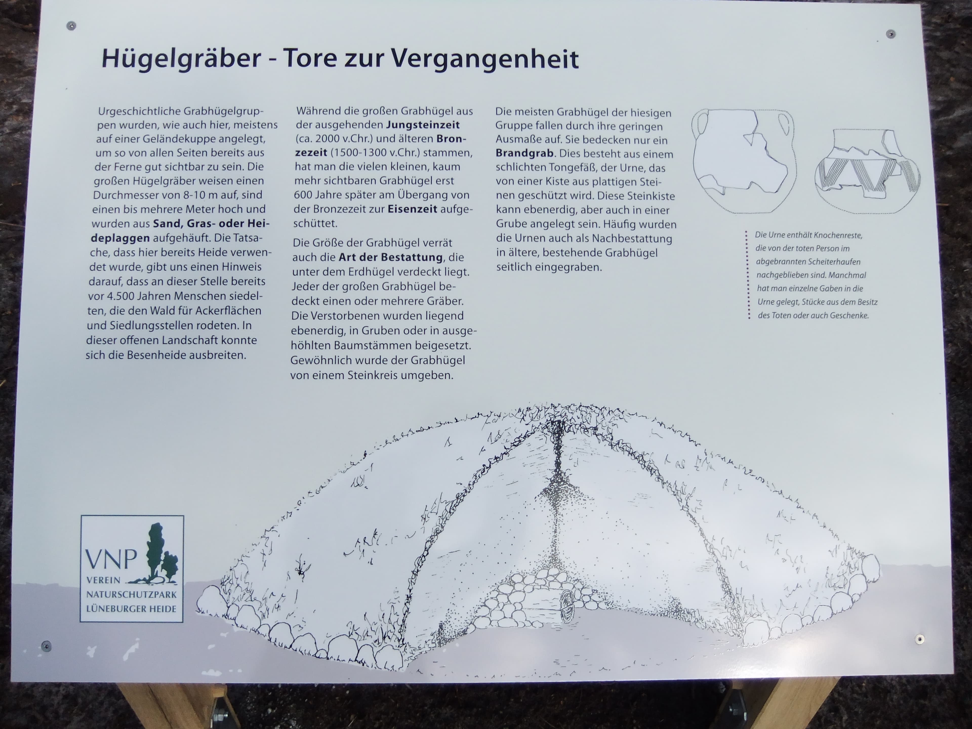 in der Hügelgräberheide
