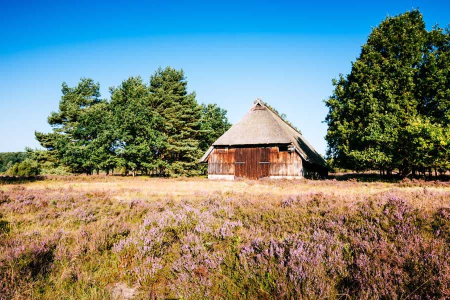 Schafstall am Steingrund