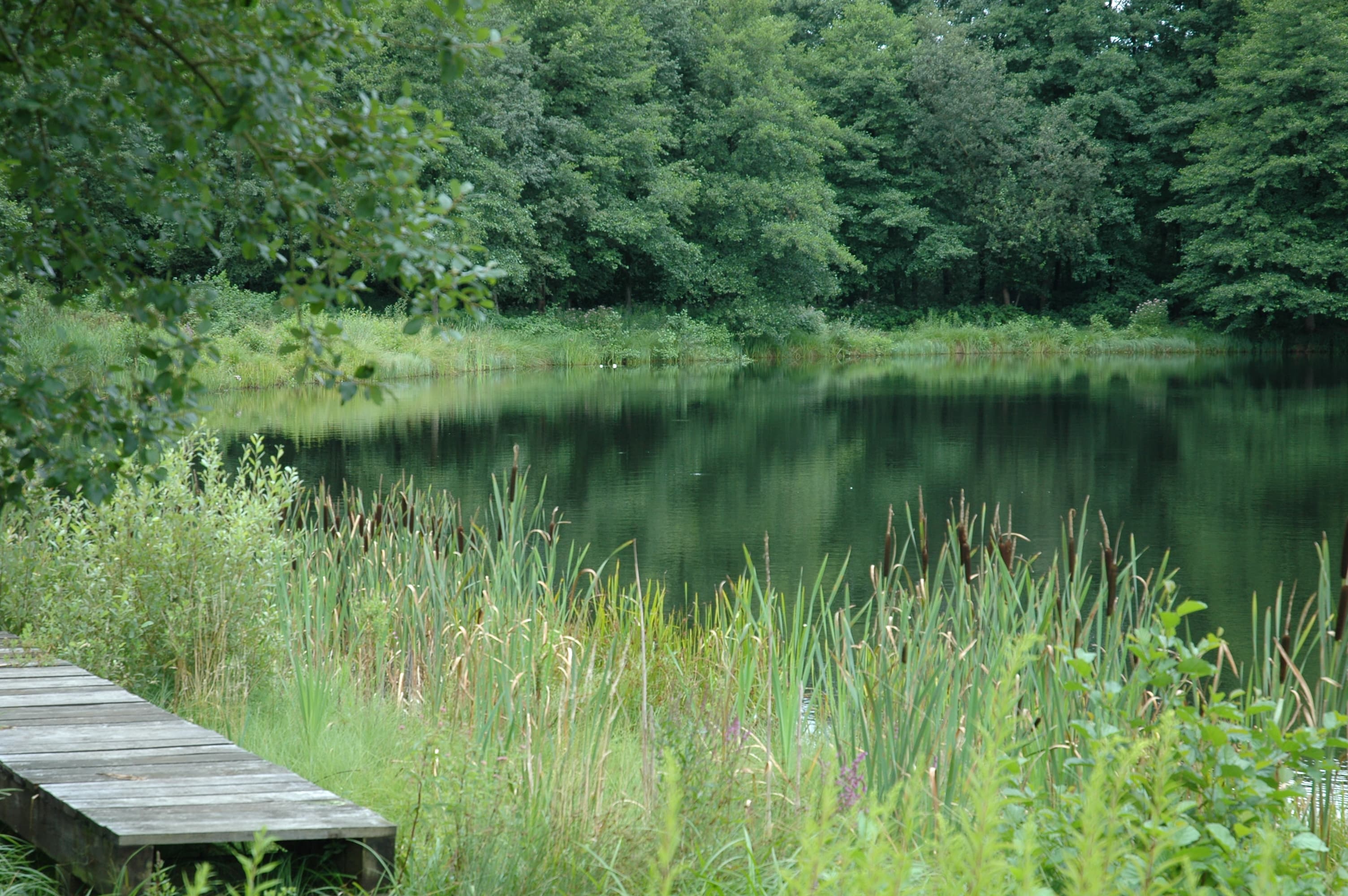 Böttcherteich, ©Martina Rode