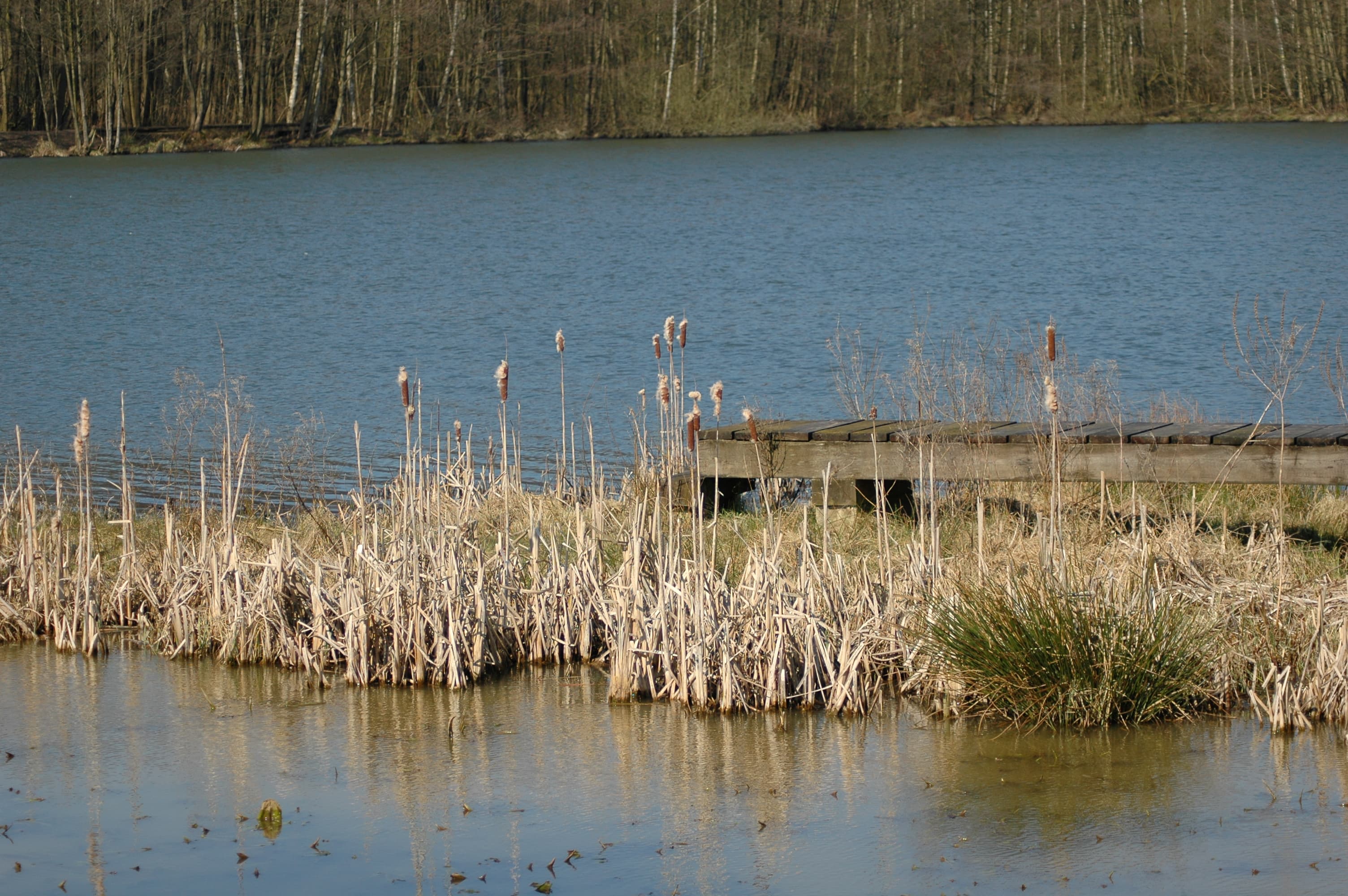 Böttcherteich ©Martina Rode