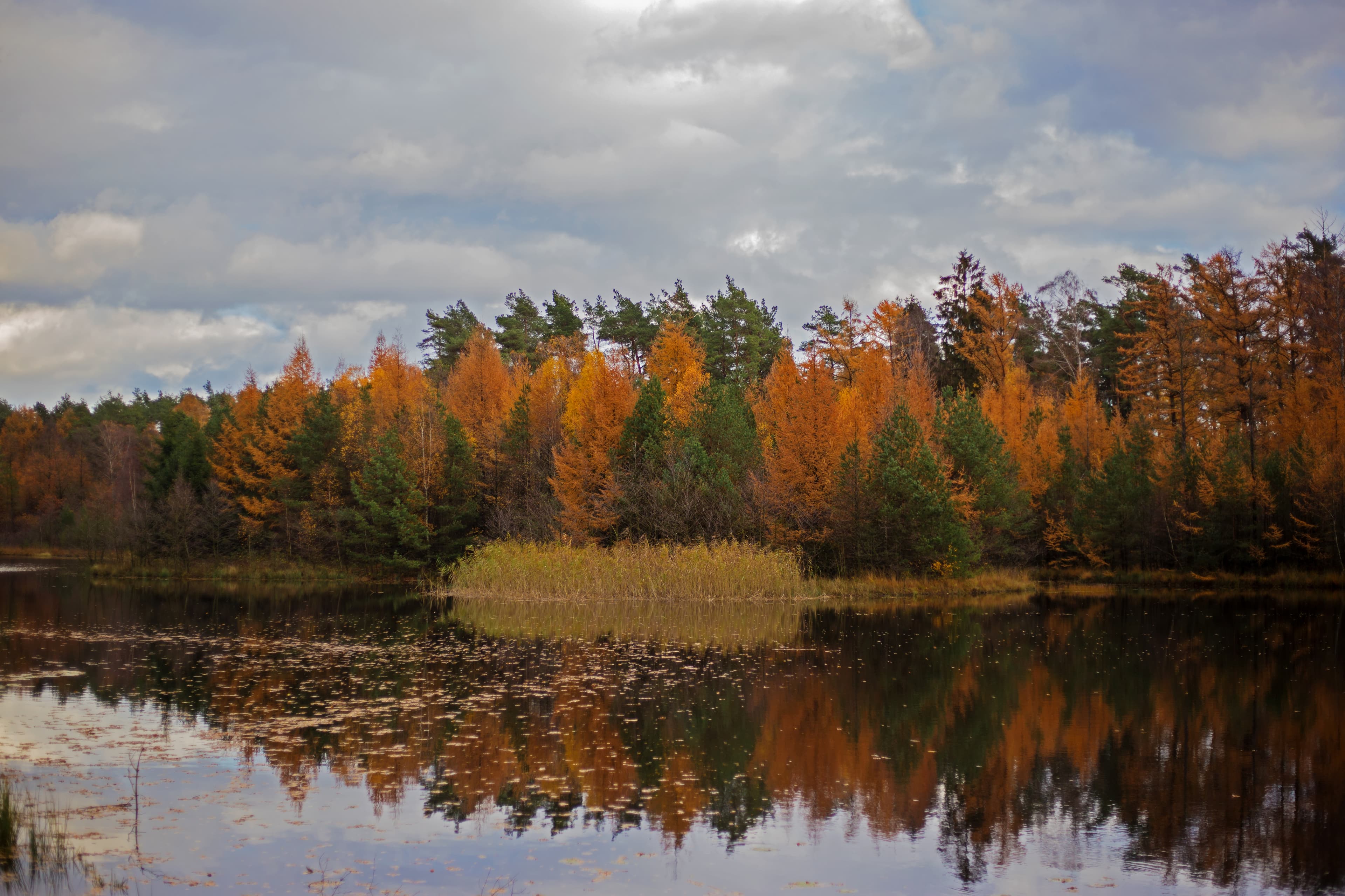 Munosee ©W.Dürre