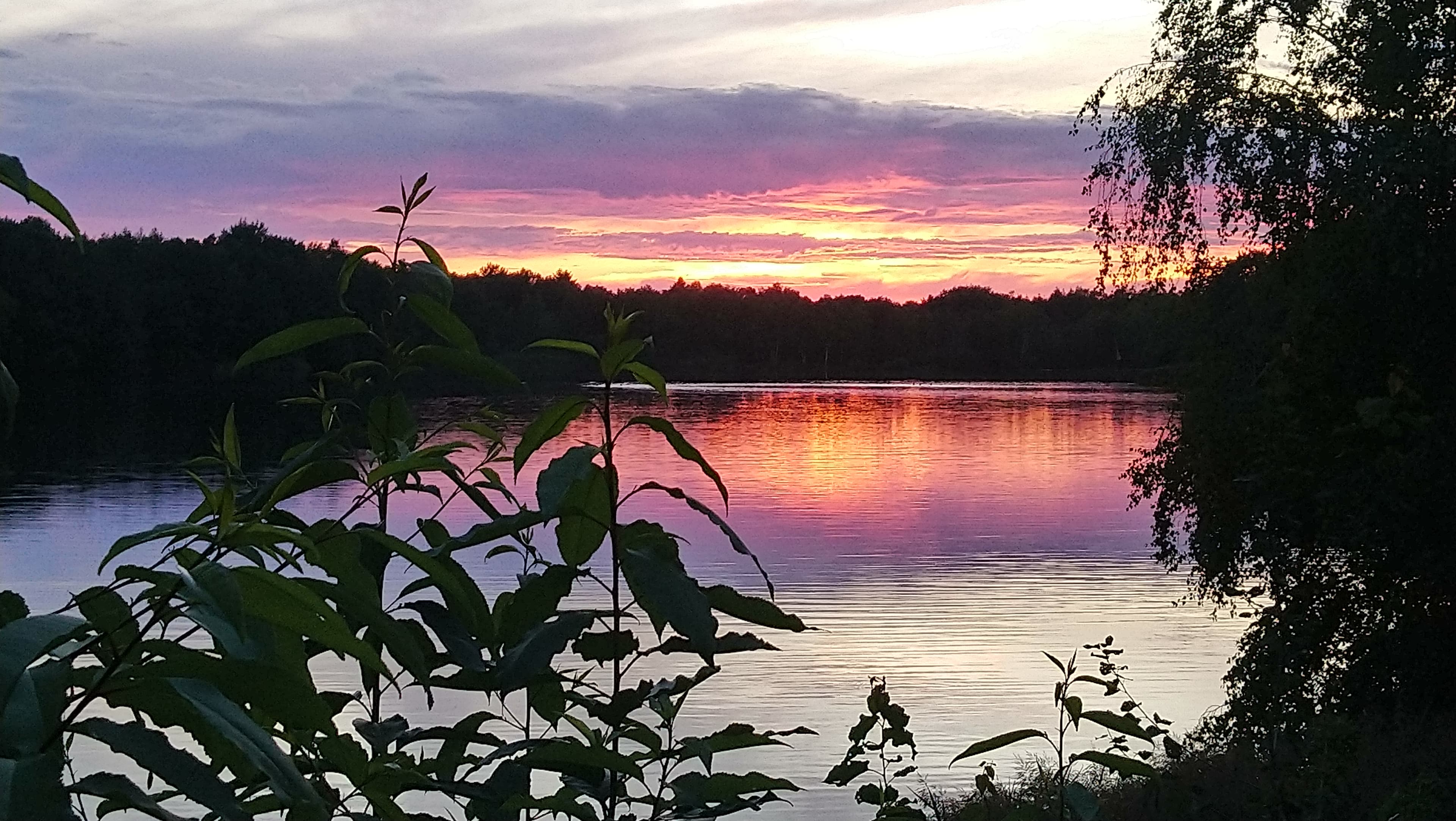 Sonnenuntergang am Flüggenhofsee, ©MunsterTouristik