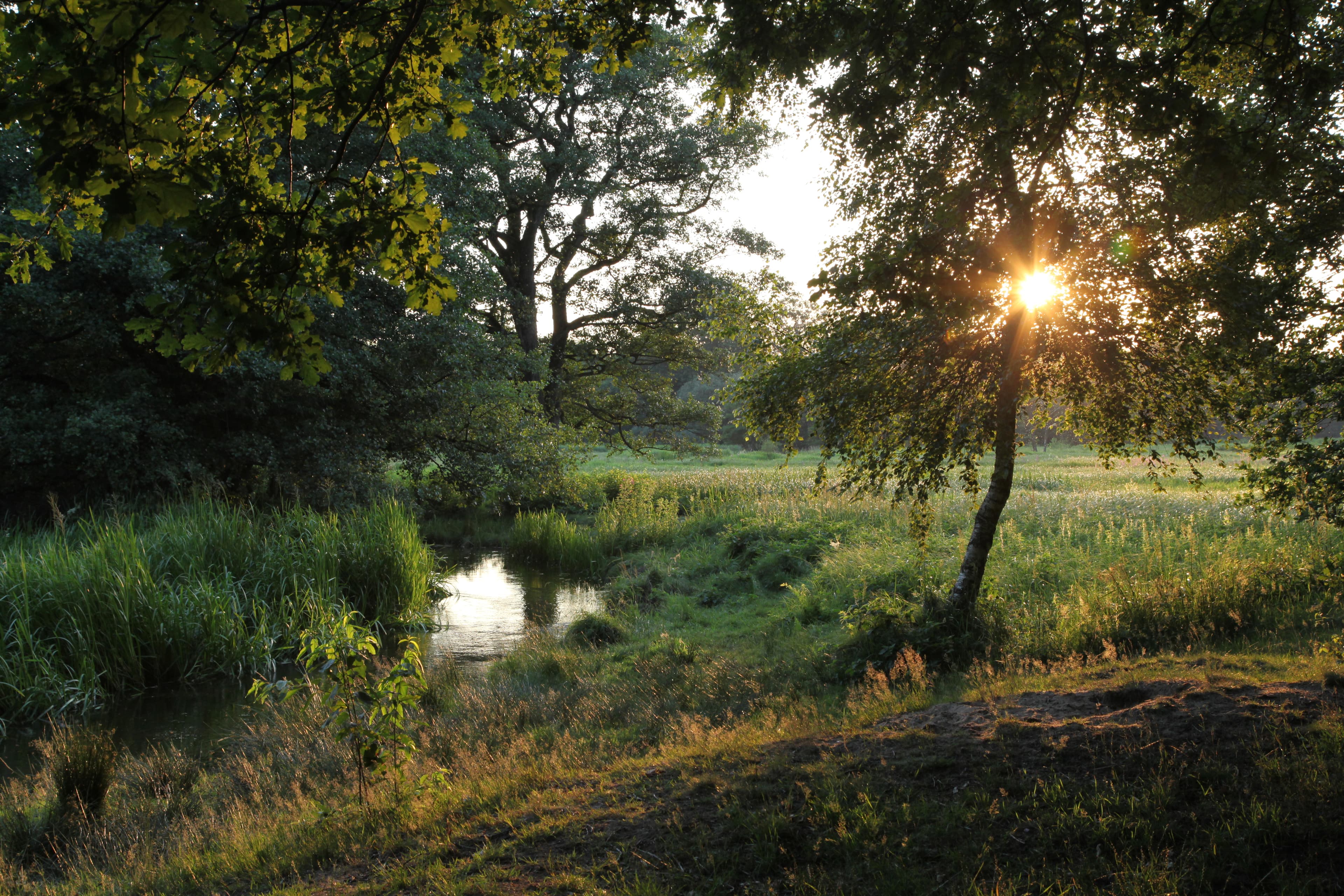 Sonnenuntergang im Örtzetal ©LotharvonAlm