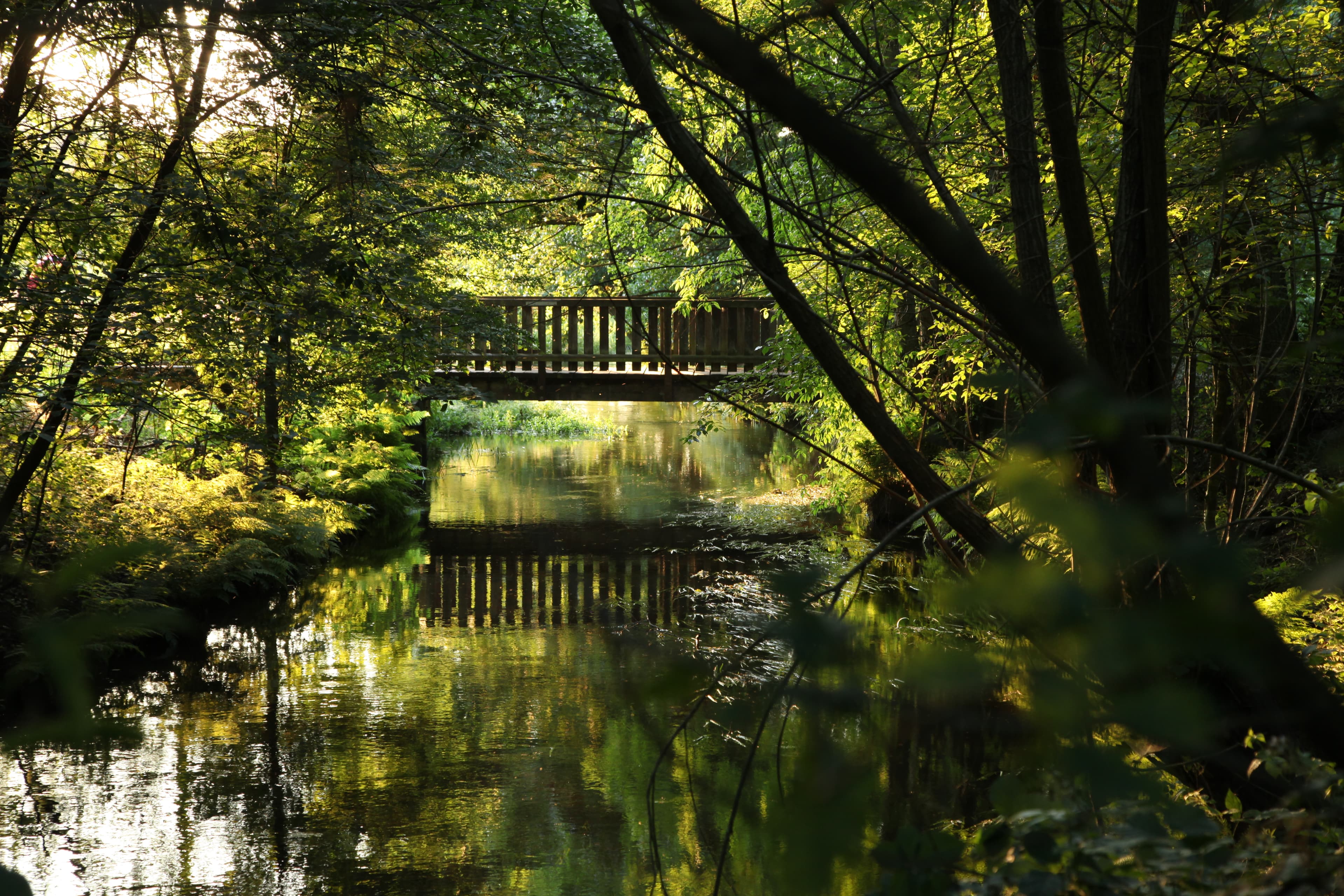 Brücke im Örtzetal, ©LotharvonAlm