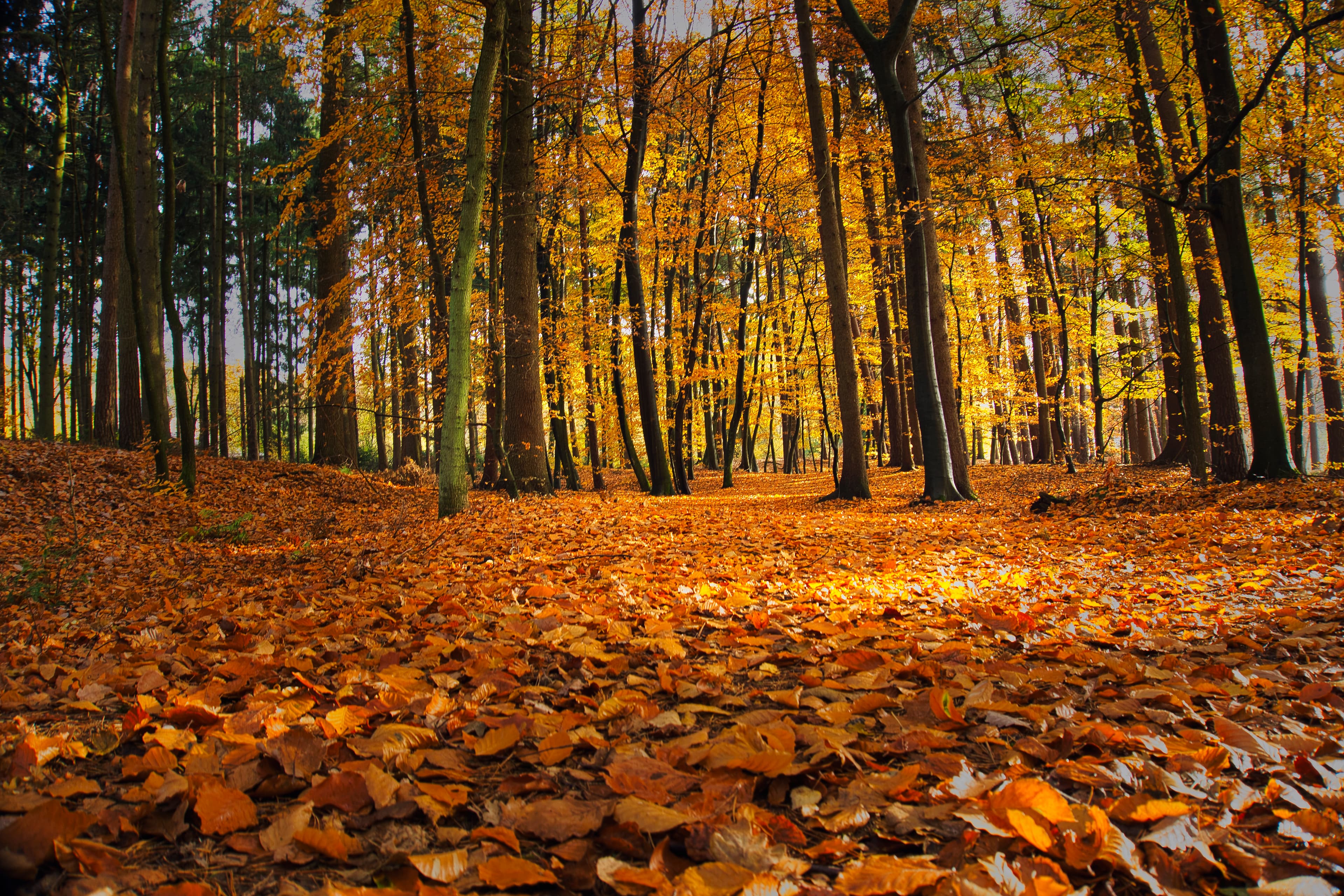 Örtzetal im Herbst ©Raw(bin)