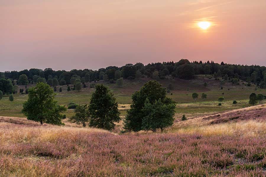 Blick vom Surhorn auf den gegenüberliegenden Wümmeberg