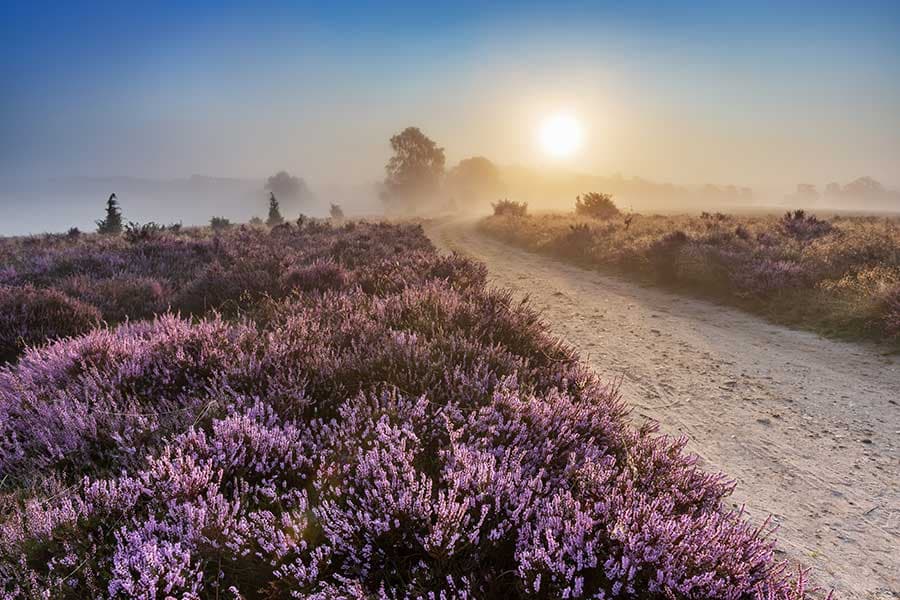 Sonnenaufgang am Surhorn