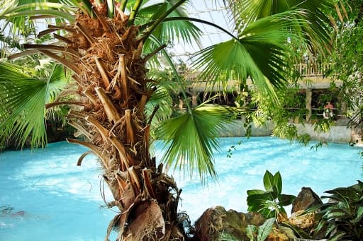 Action im Wellenbecken im Aqua Mundo CENTER PARCS