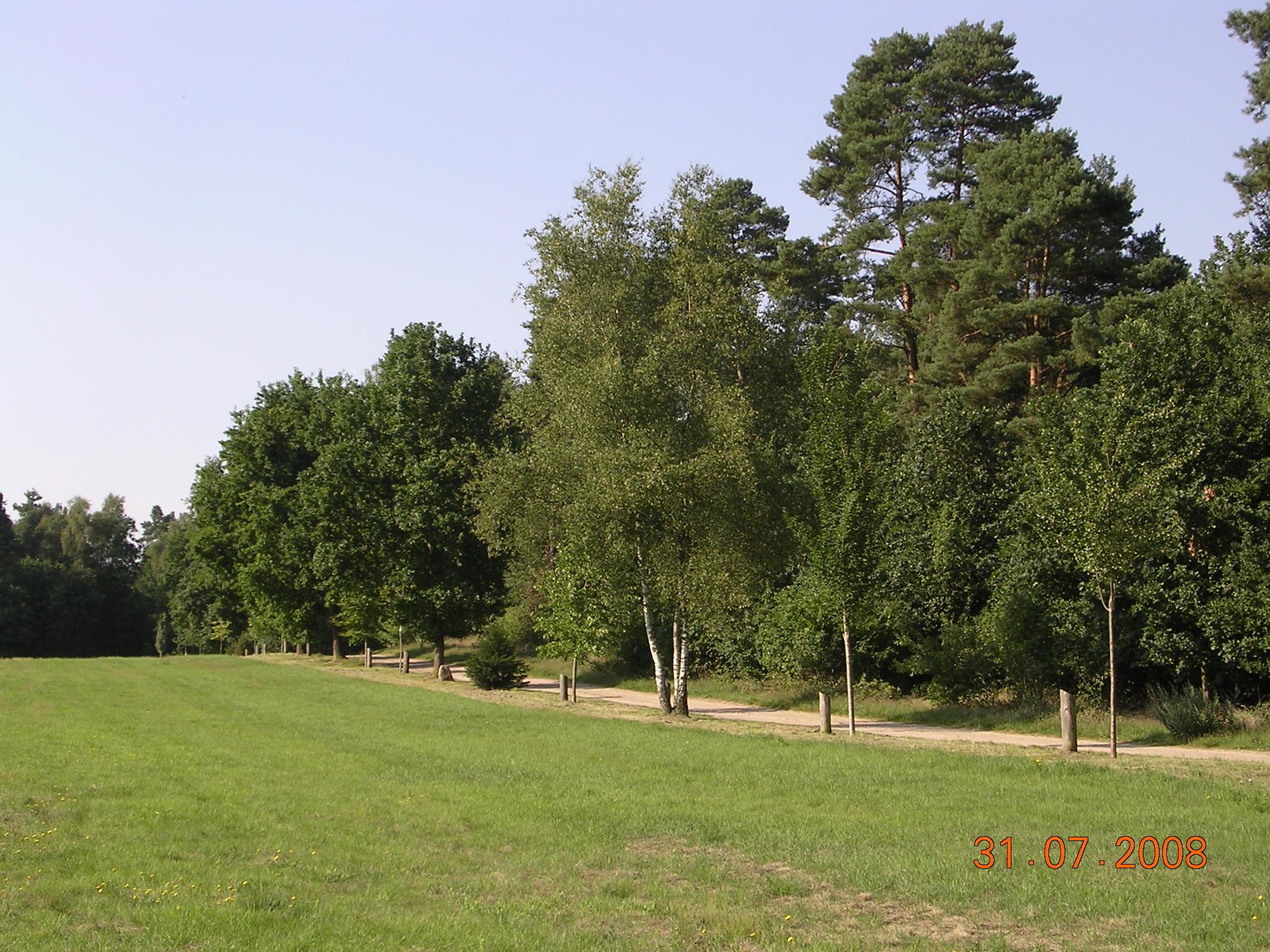 Hanstedt: Jahresbaumallee