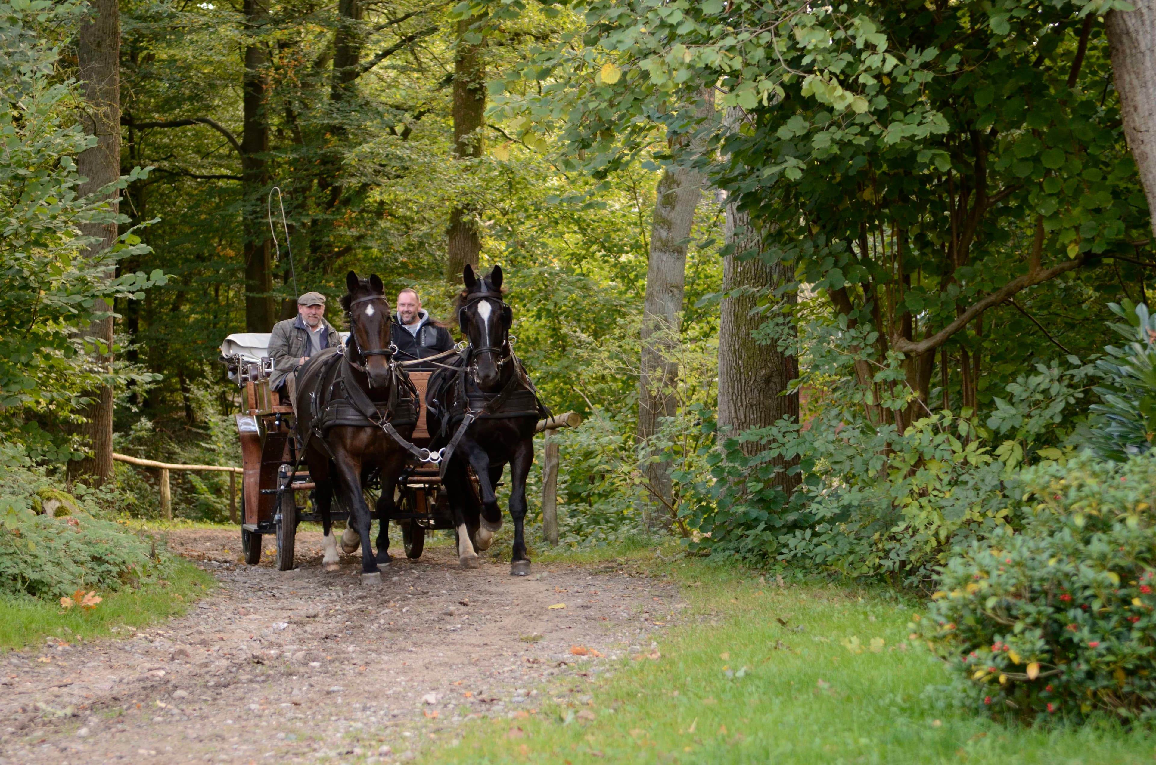 Hofauffahrt zum Garbers Hof