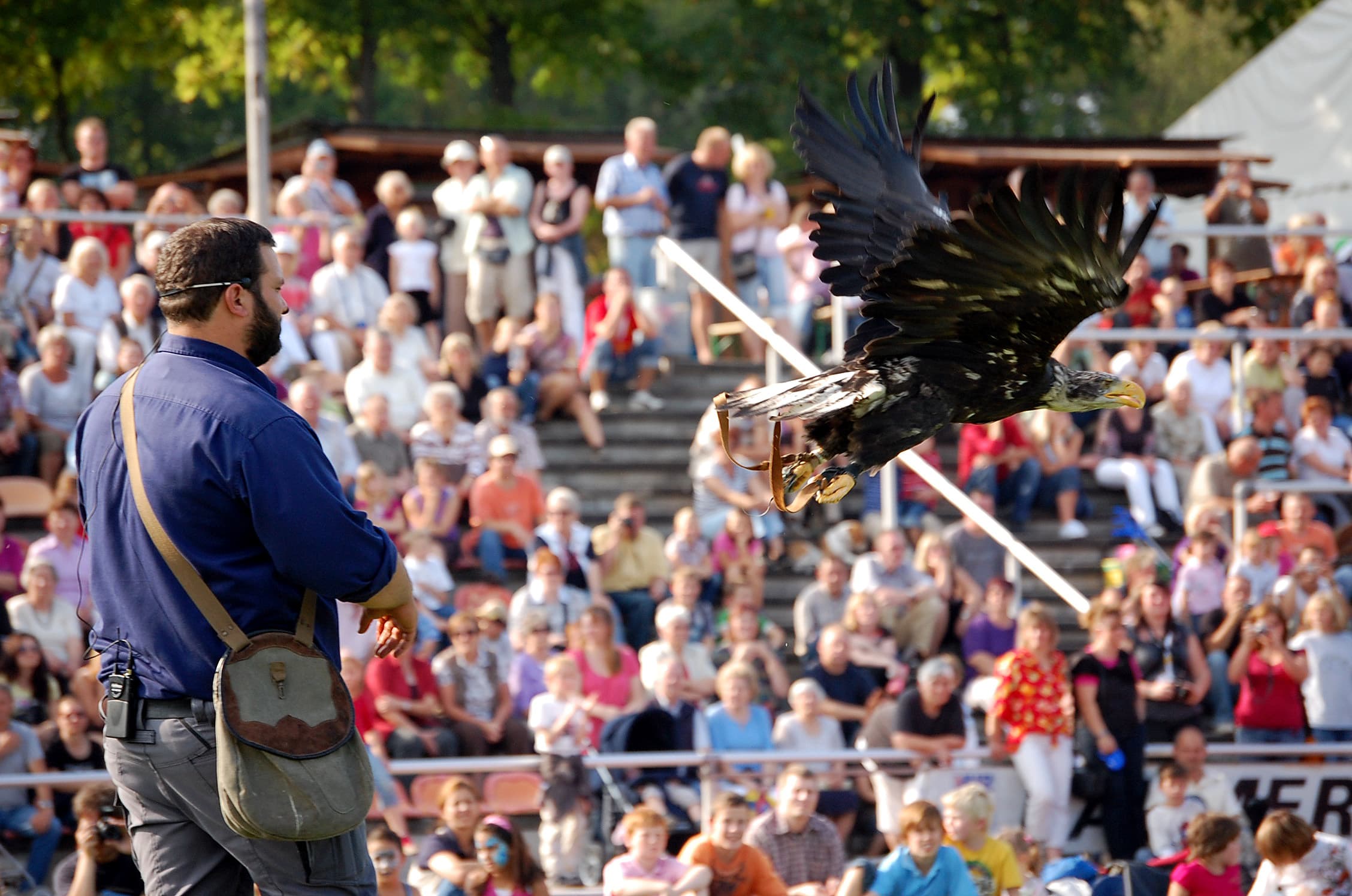 Flugschau im Stadion