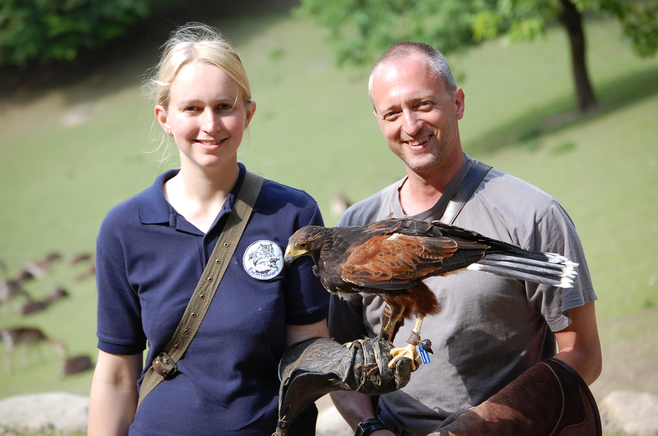 Faszination Greifvögel: Wer sich einen Tag lang Zeit nehmen möchte, Falke, Bussard oder Eule hautnah zu begegnen, darf in den Falkner Alltag hinein schnuppern. Das Team der Eventfalknerei betreut Sie durch die Chronologie der Ausbildung eines Vogels hindurch, vom ersten Handappell bis zum Freiflug. Gutscheine sind im Online Shop erhältlich.