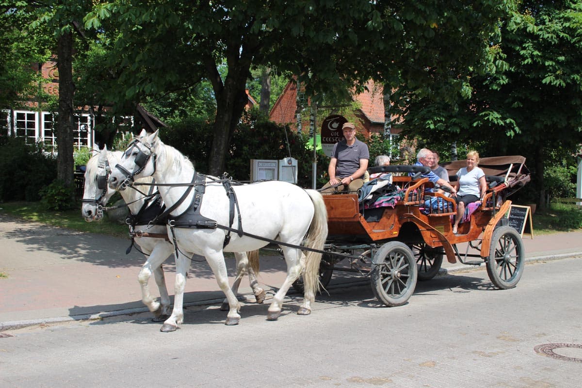 Kutschfahrten-Matthias-Heins