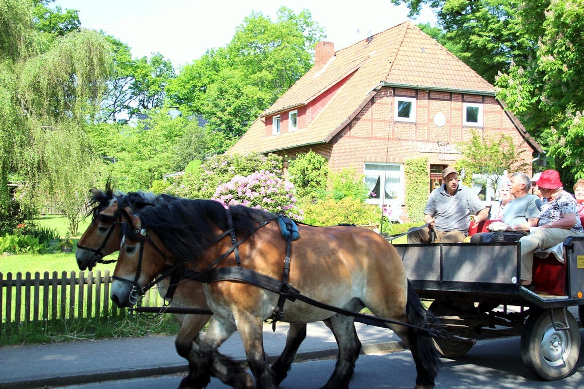 Kutschfahrten-Matthias-Heins