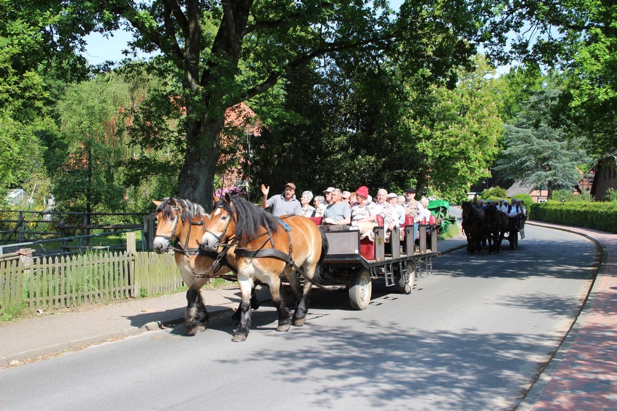 Kutschfahrten-Matthias-Heins