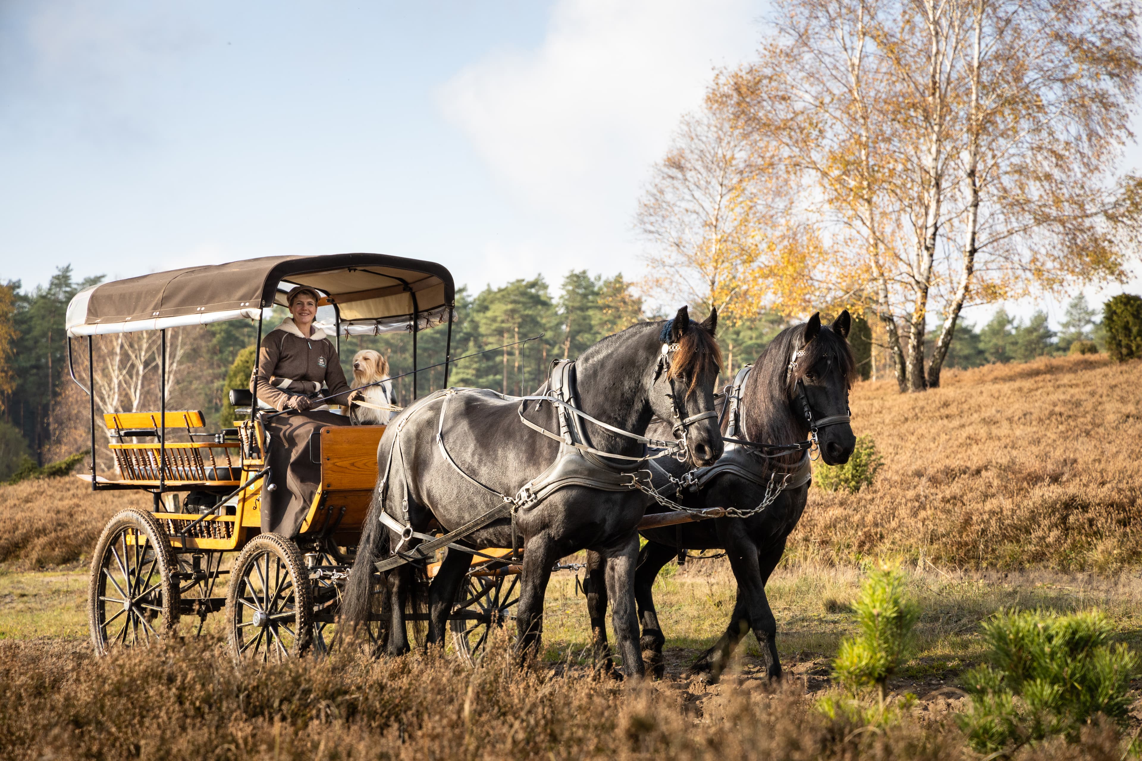 Herbstfahrt