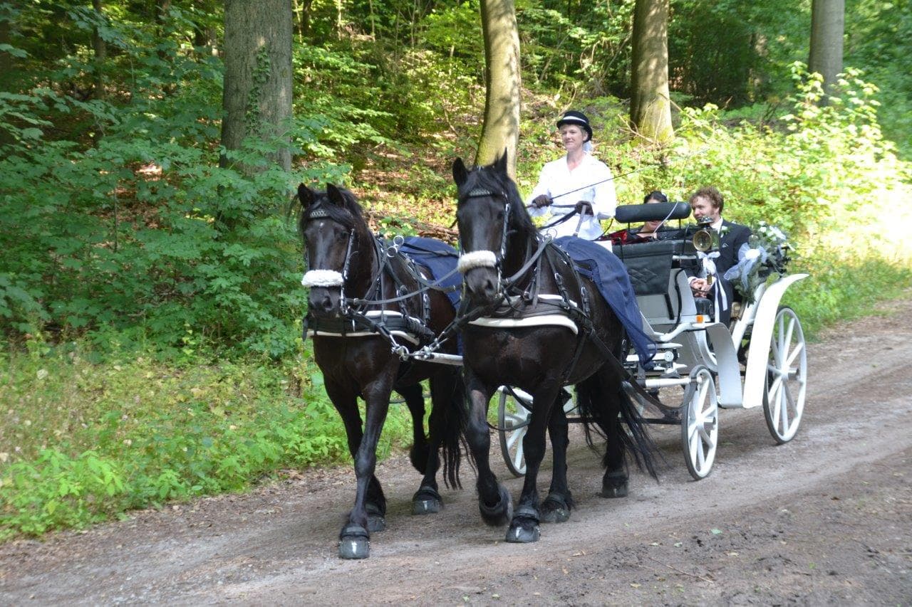 Brautpaar im Glück