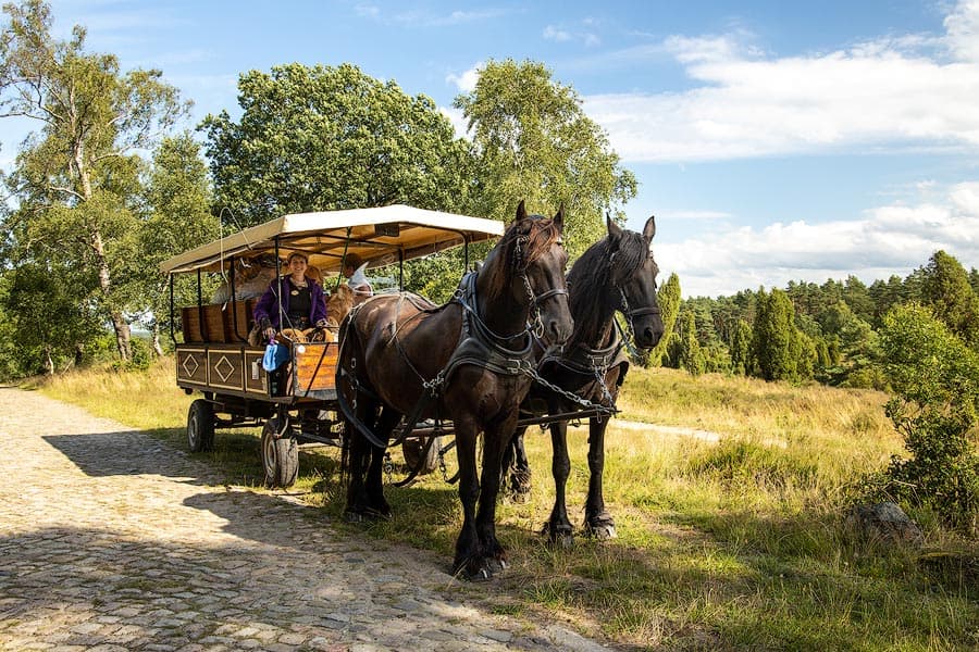 Kutschfahrt mit dem Planwagen