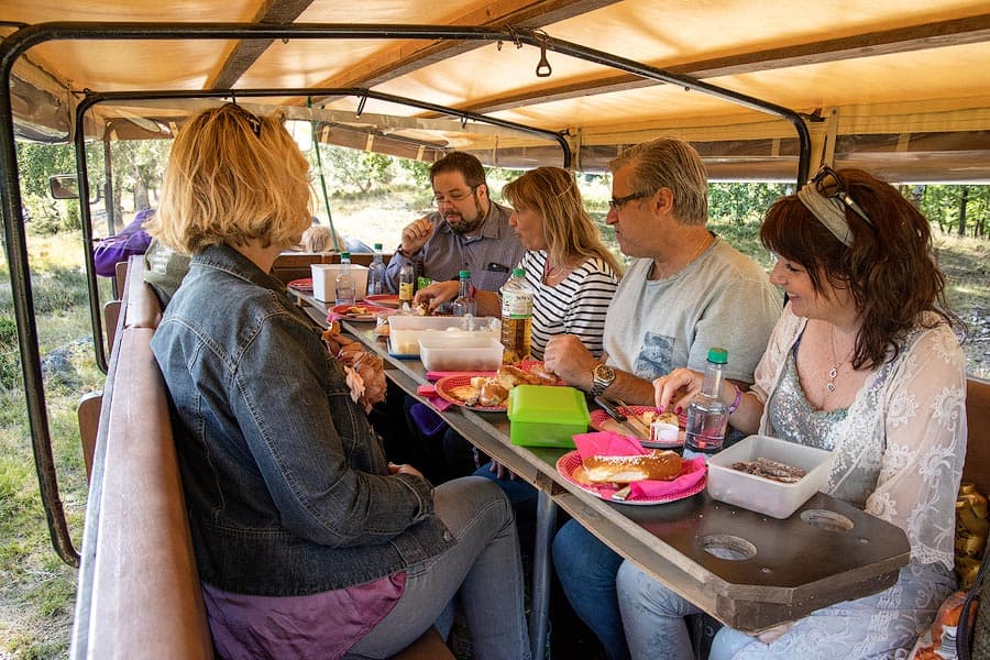 Picknick auf dem Planwagen