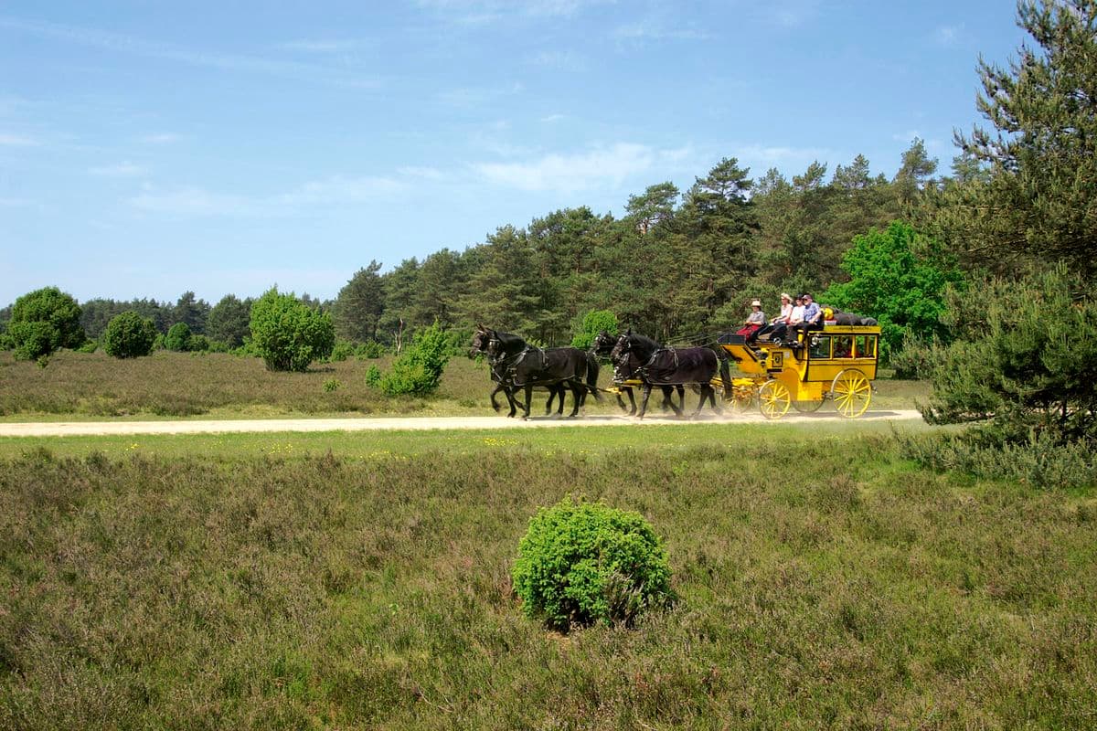 unterwegs in der Südheide