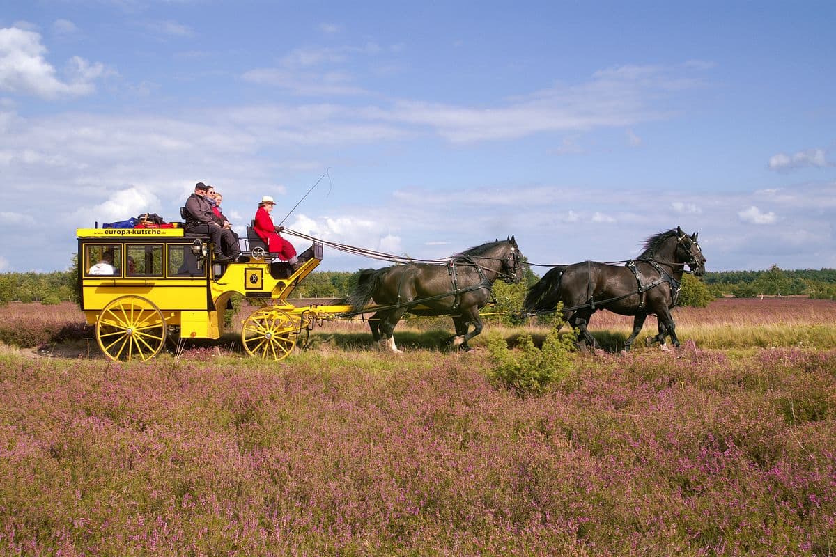 Die Europa-Kutsche im Naturpark Südheide