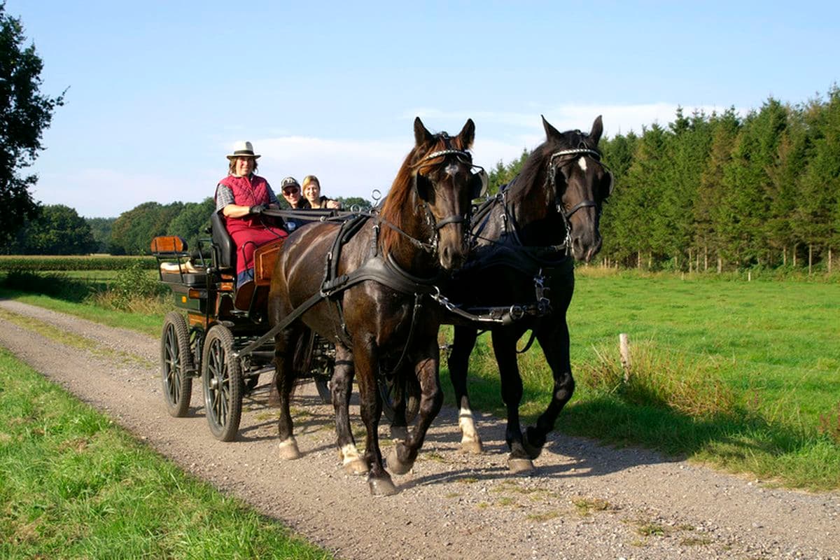 romantische Fahrt mit der Wagonette