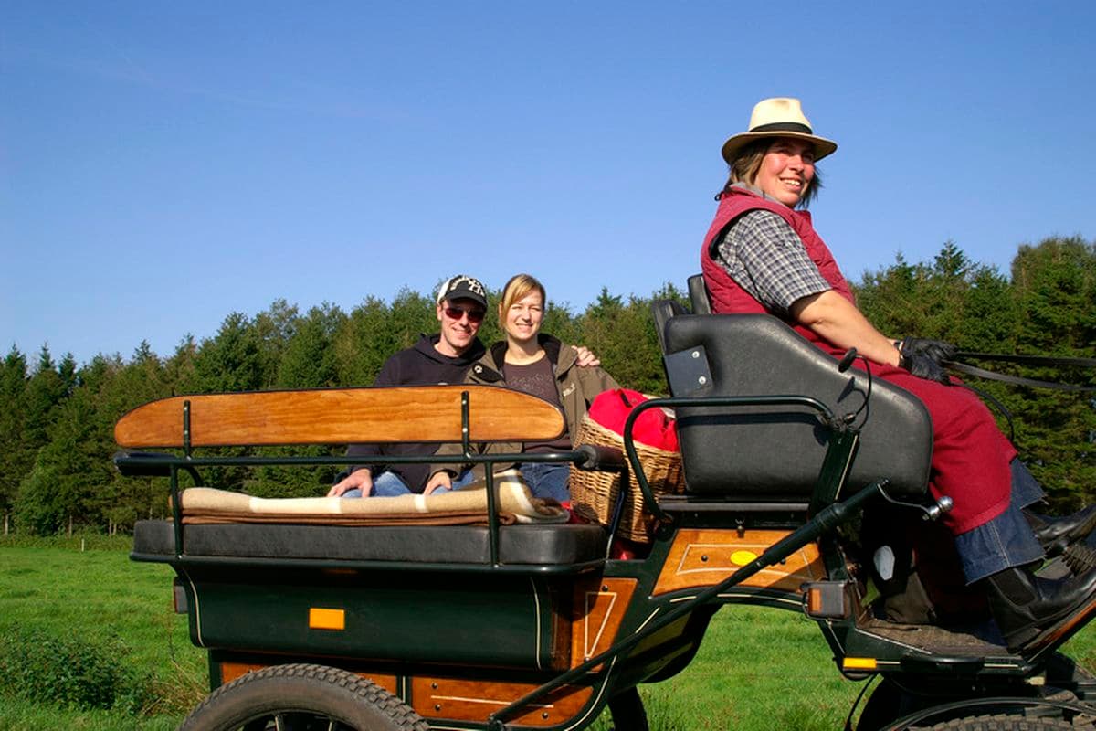 romantische Fahrt mit der Wagonette