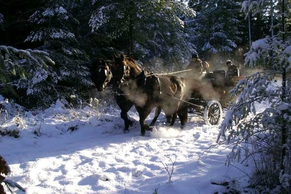 Wintertour mit der Europa-Kutsche