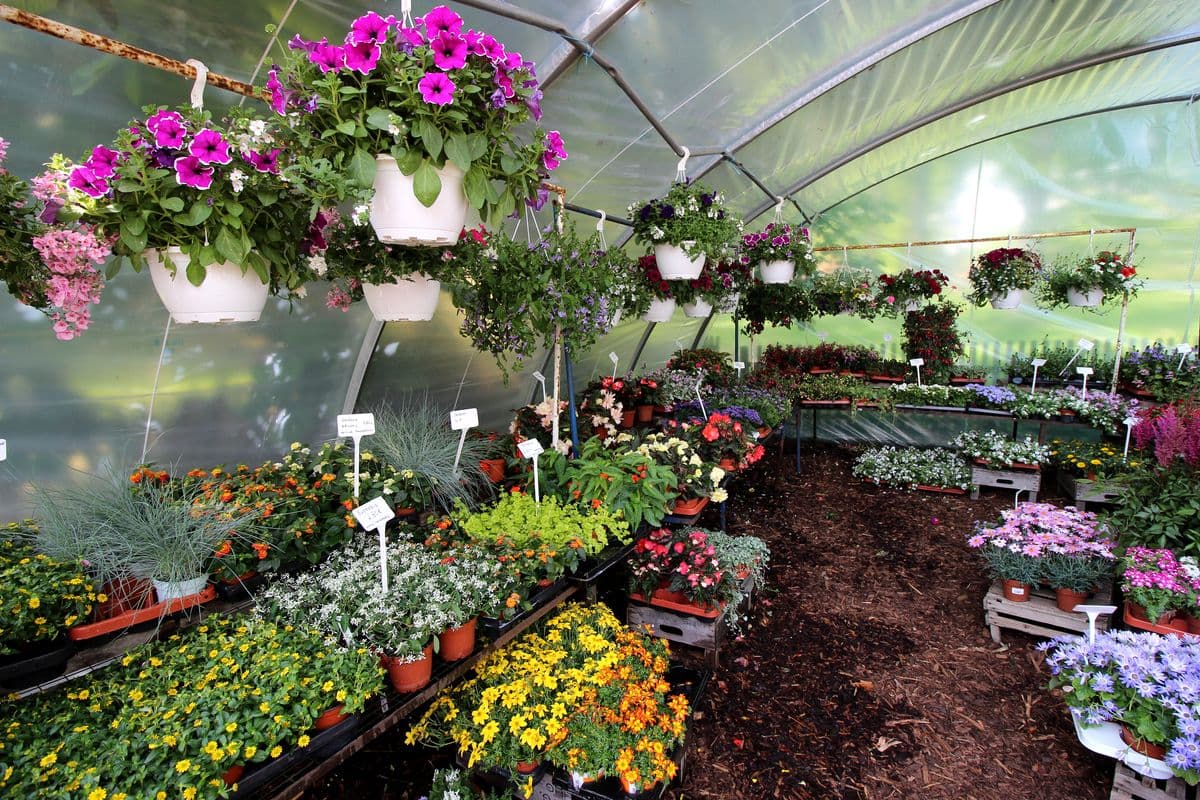 Hofladen Dornhoff in Hermannsburg