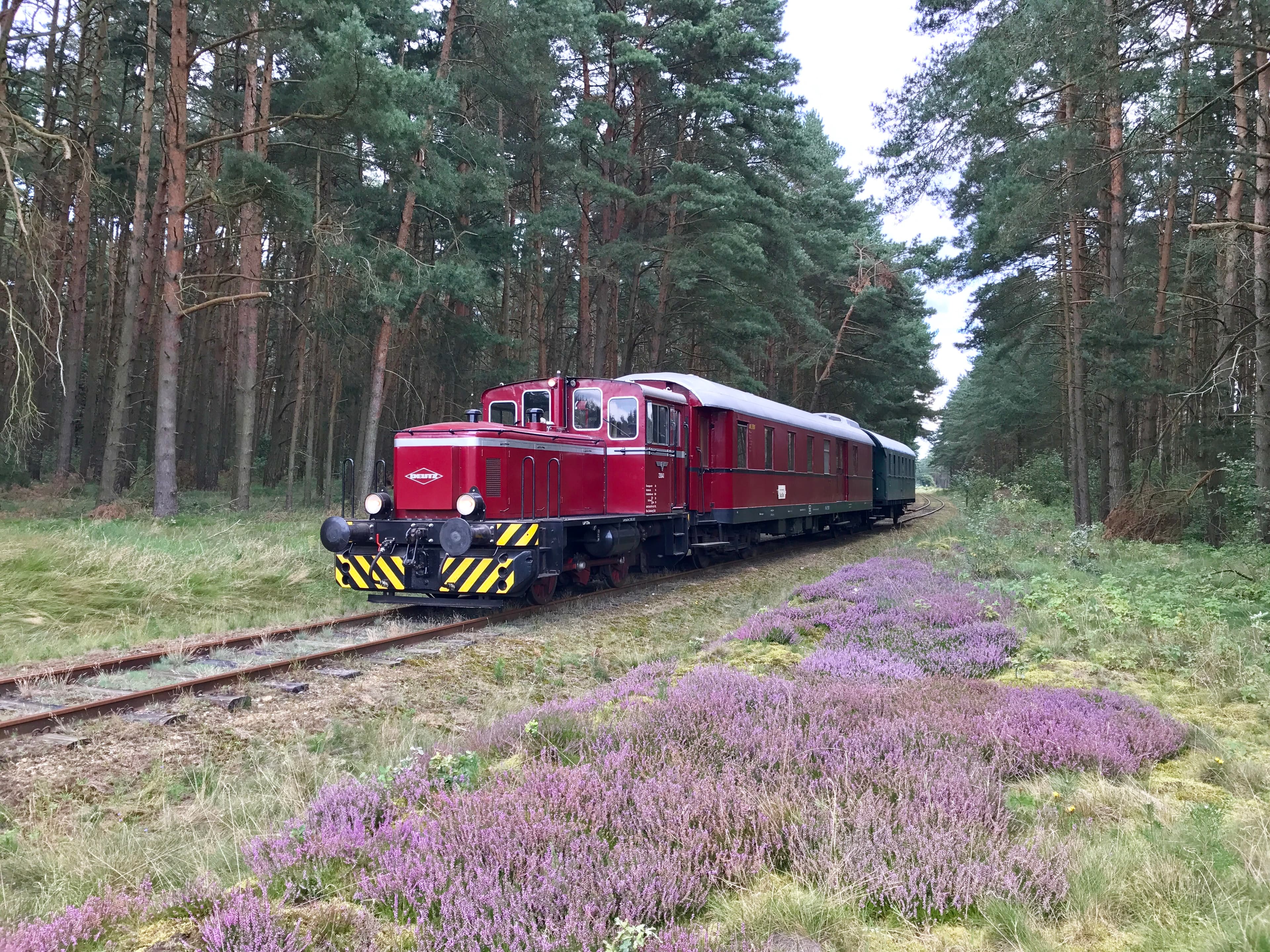 Lok 230 41 mit Wagenzug auf der Bleckeder Kleinbahn