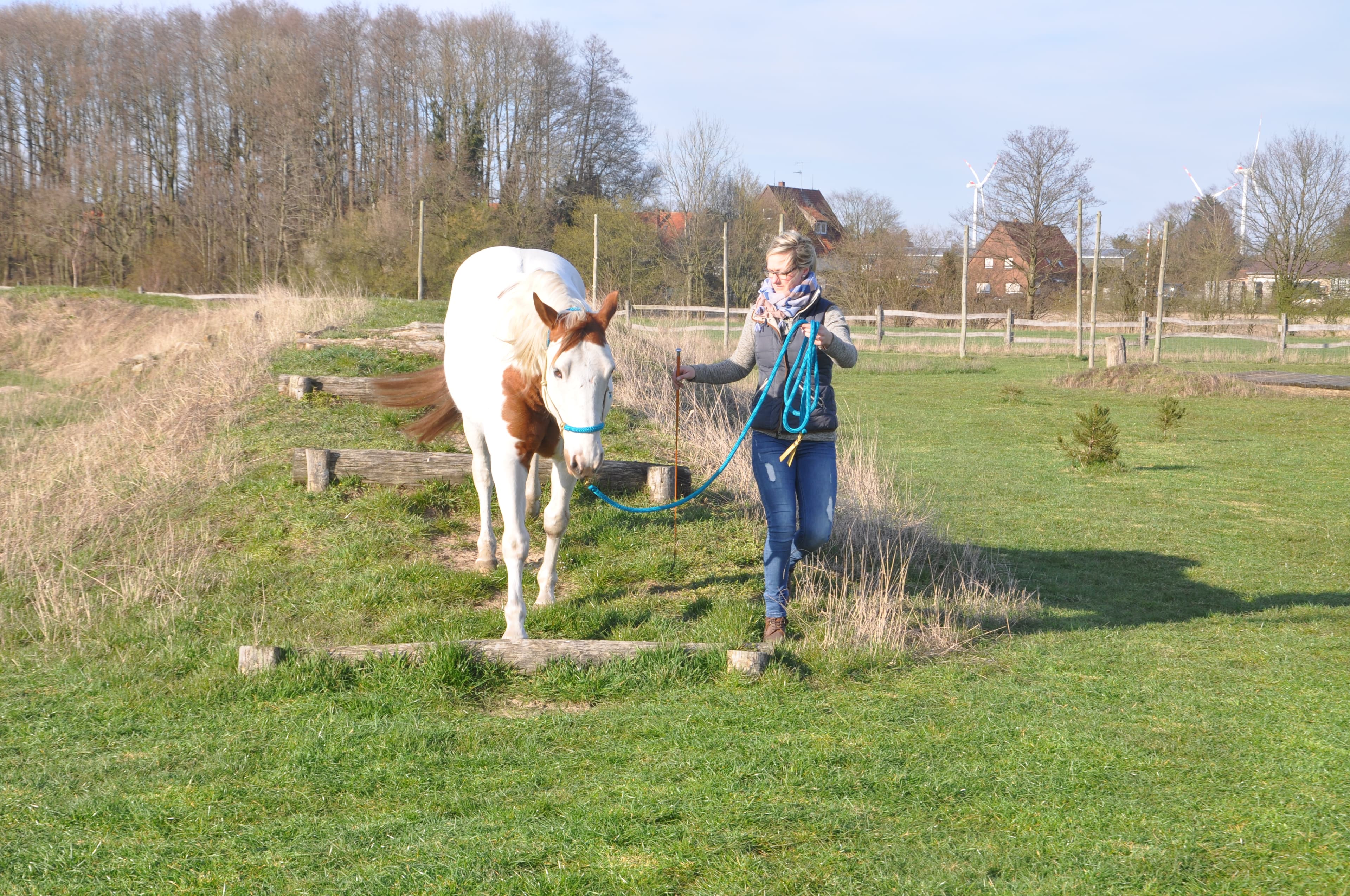Trainerin mit Pferd auf dem heidehorstrail