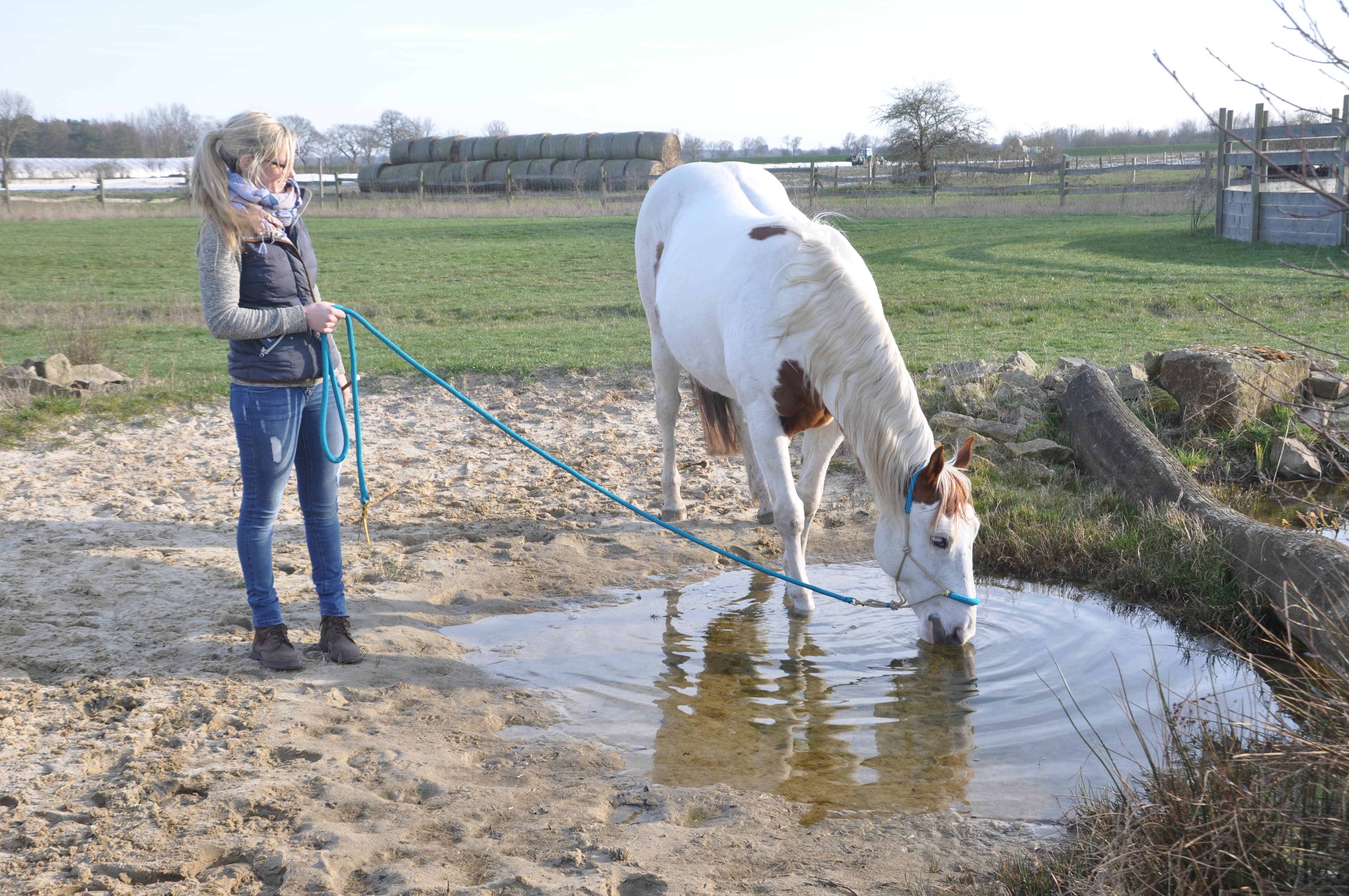 Trainerin mit Pferd auf dem heidehorstrail