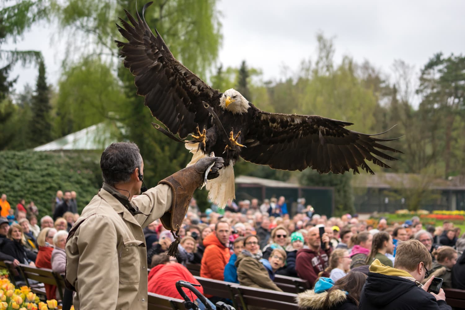 Flugshow