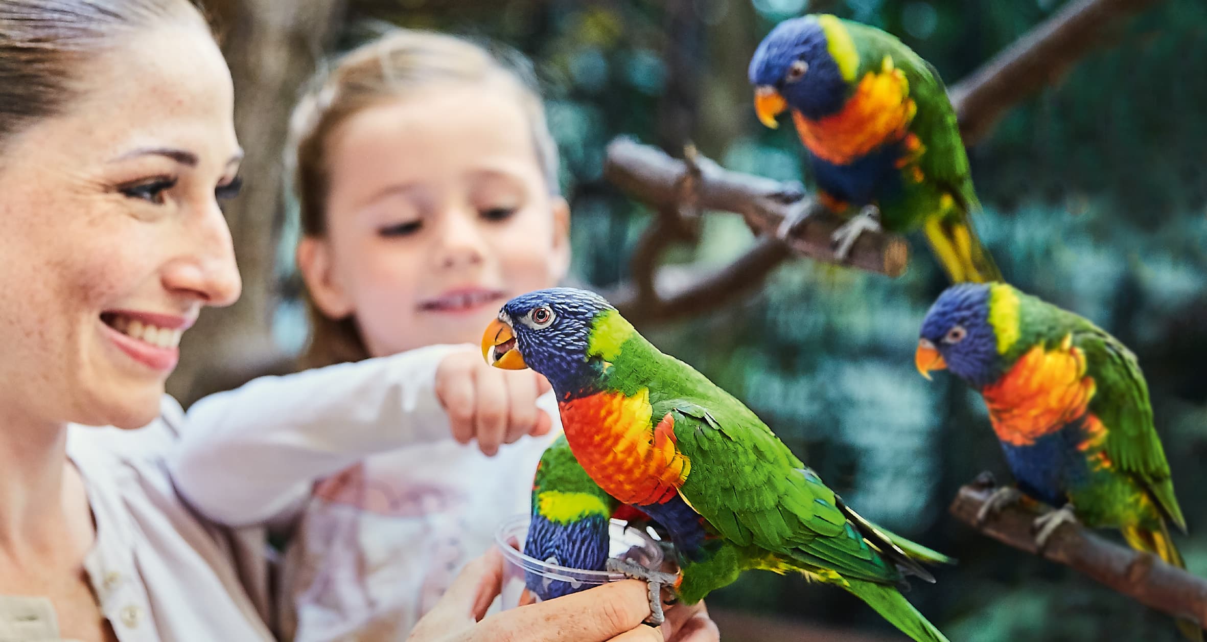 Australische Erlebniswelt Toowoomba