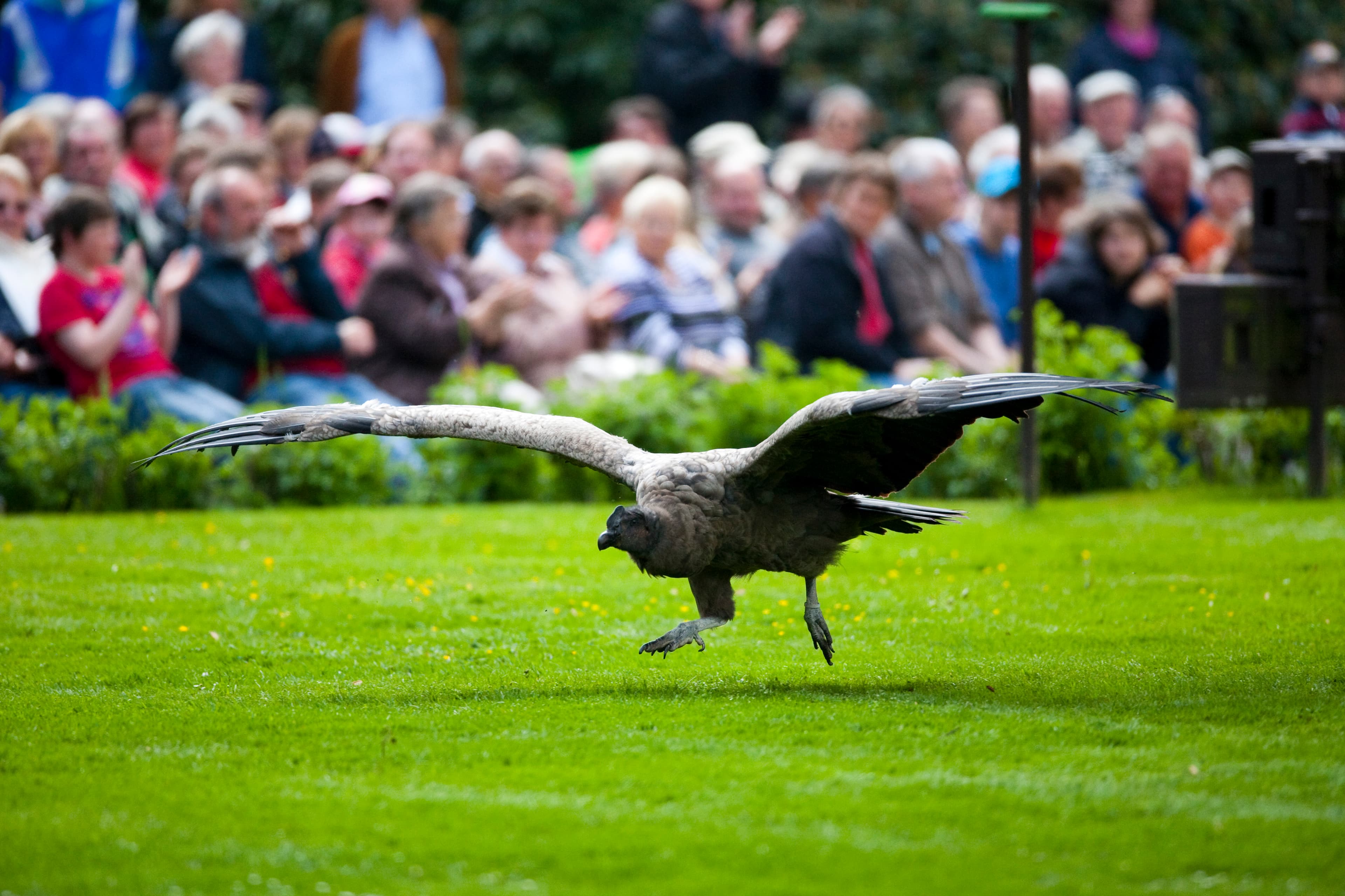 Vogelpark Walsrode