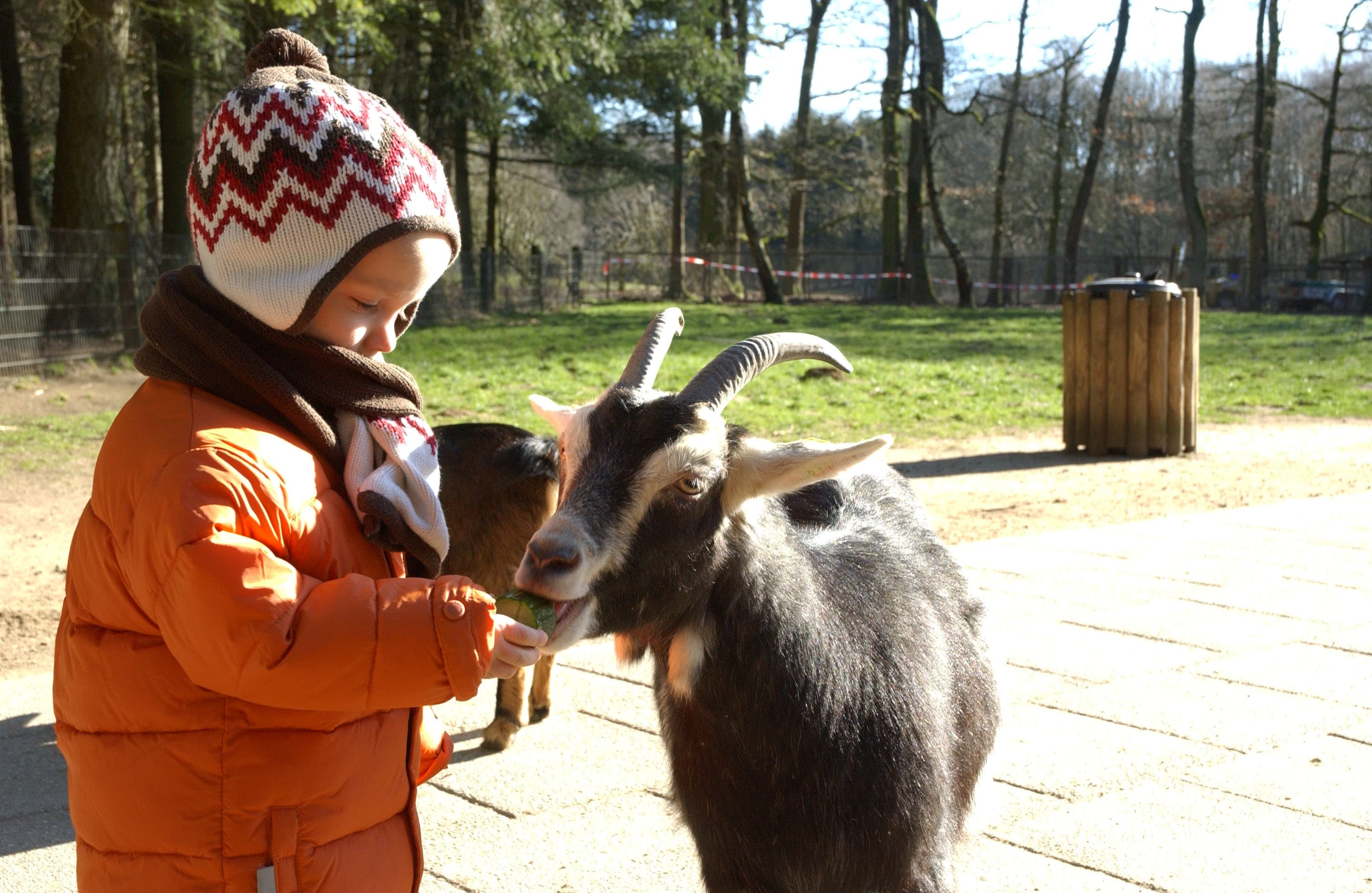 Tierbegegnungen im Wildpark Schwarze Berge