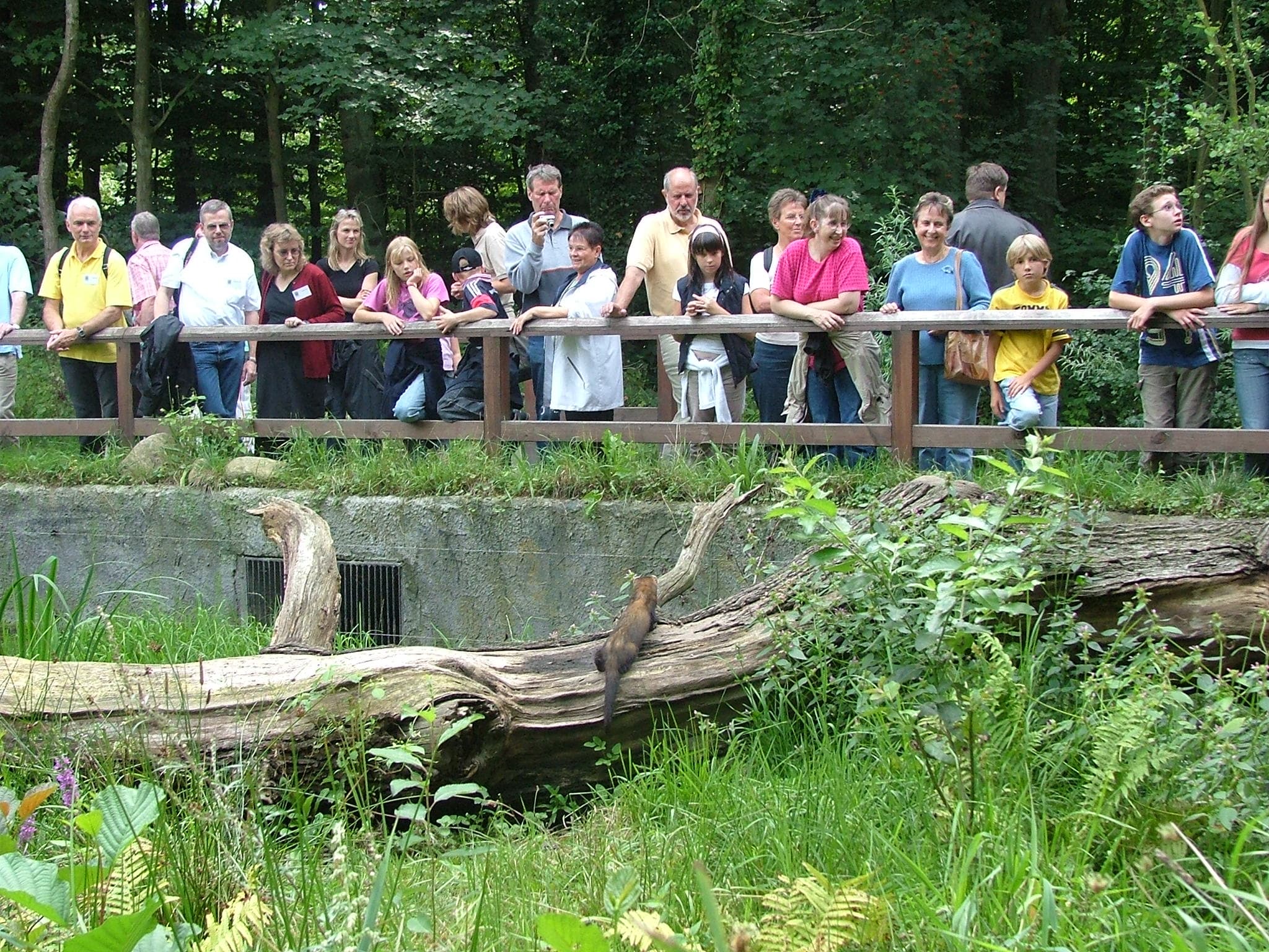 Otter Zentrum