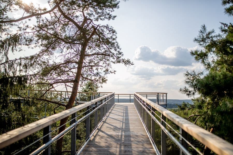 Heide Himmel Baumwipfelpfad in Hanstedt Lüneburger Heide