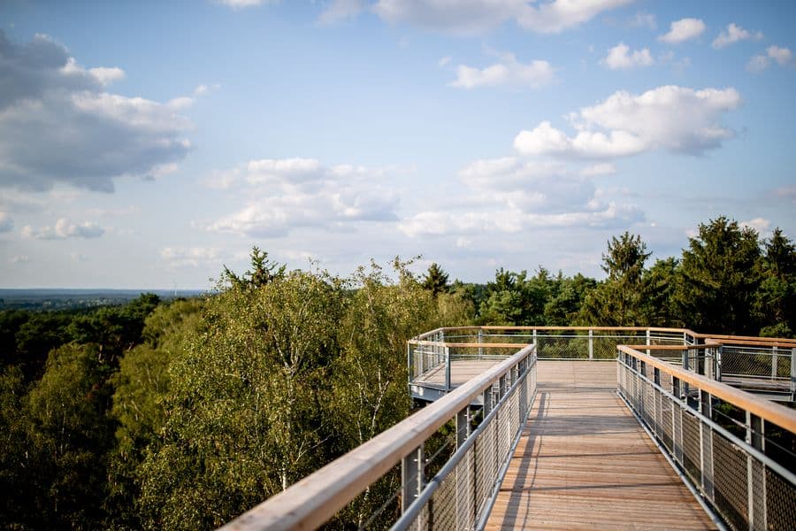 Heide Himmel Baumwipfelpfad Höhenweg