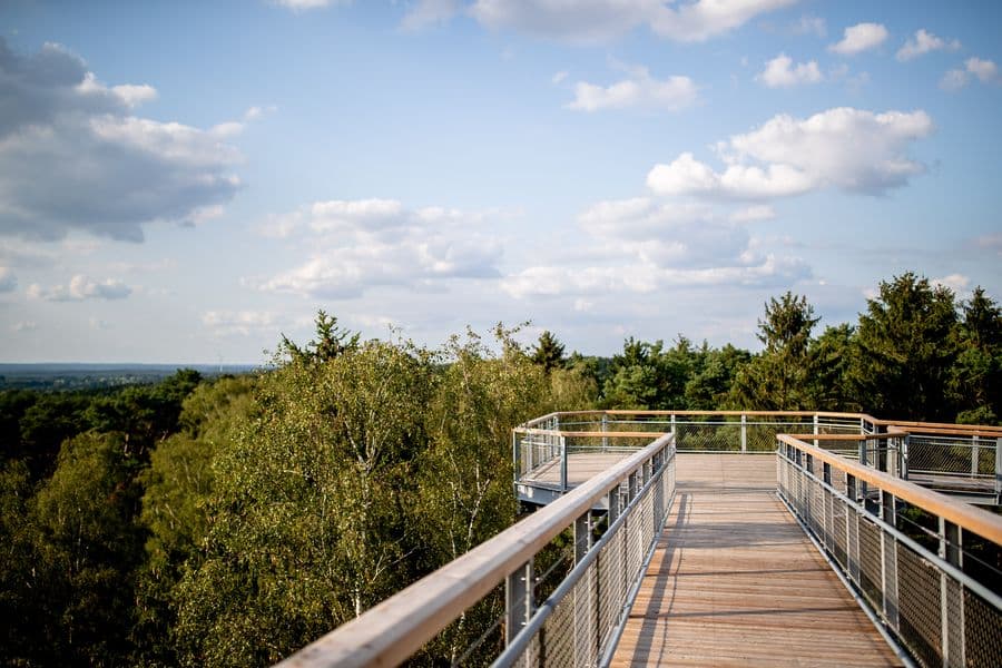 Heide Himmel Baumwipfelpfad 