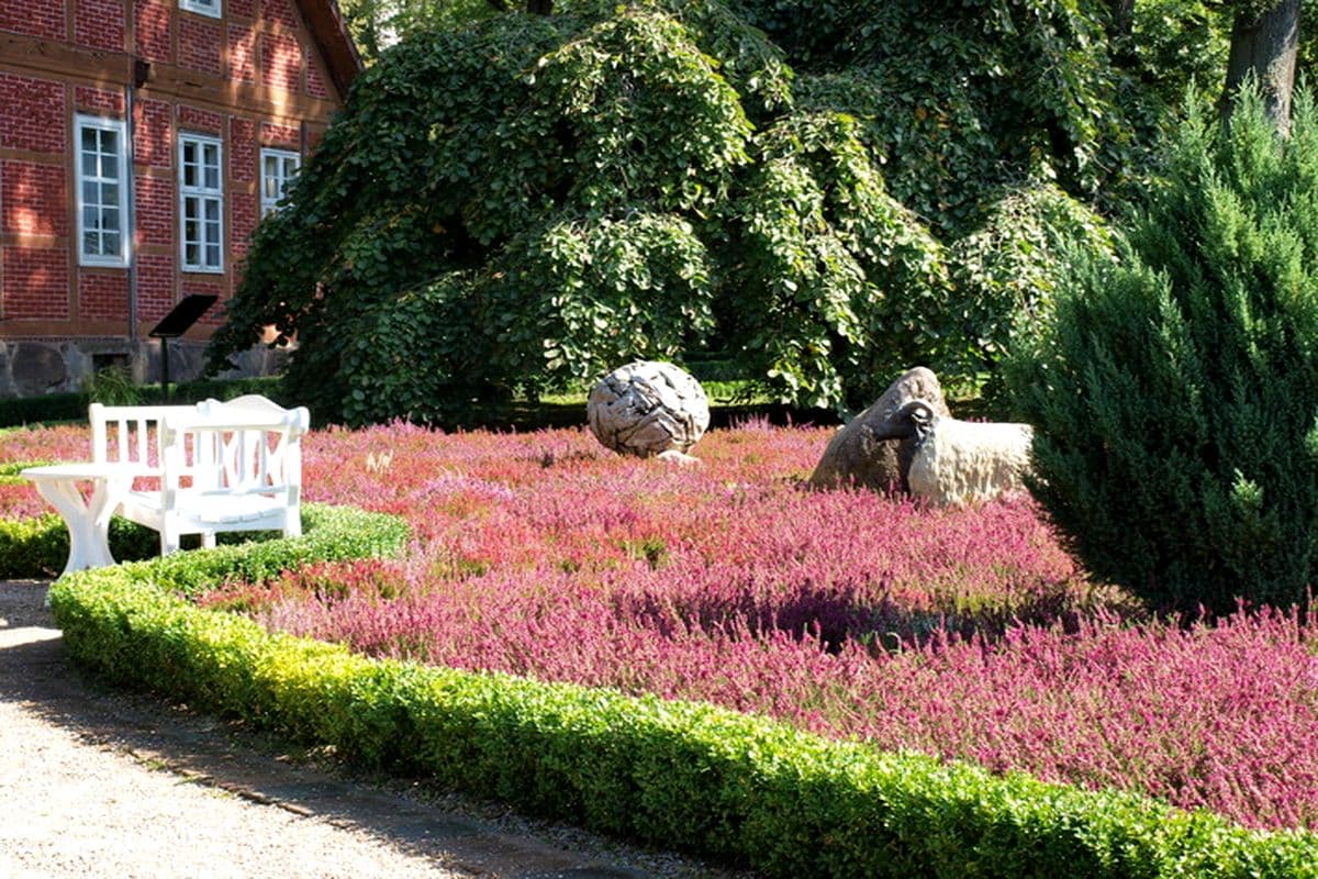 Heidegarten auf dem Müllern Hof