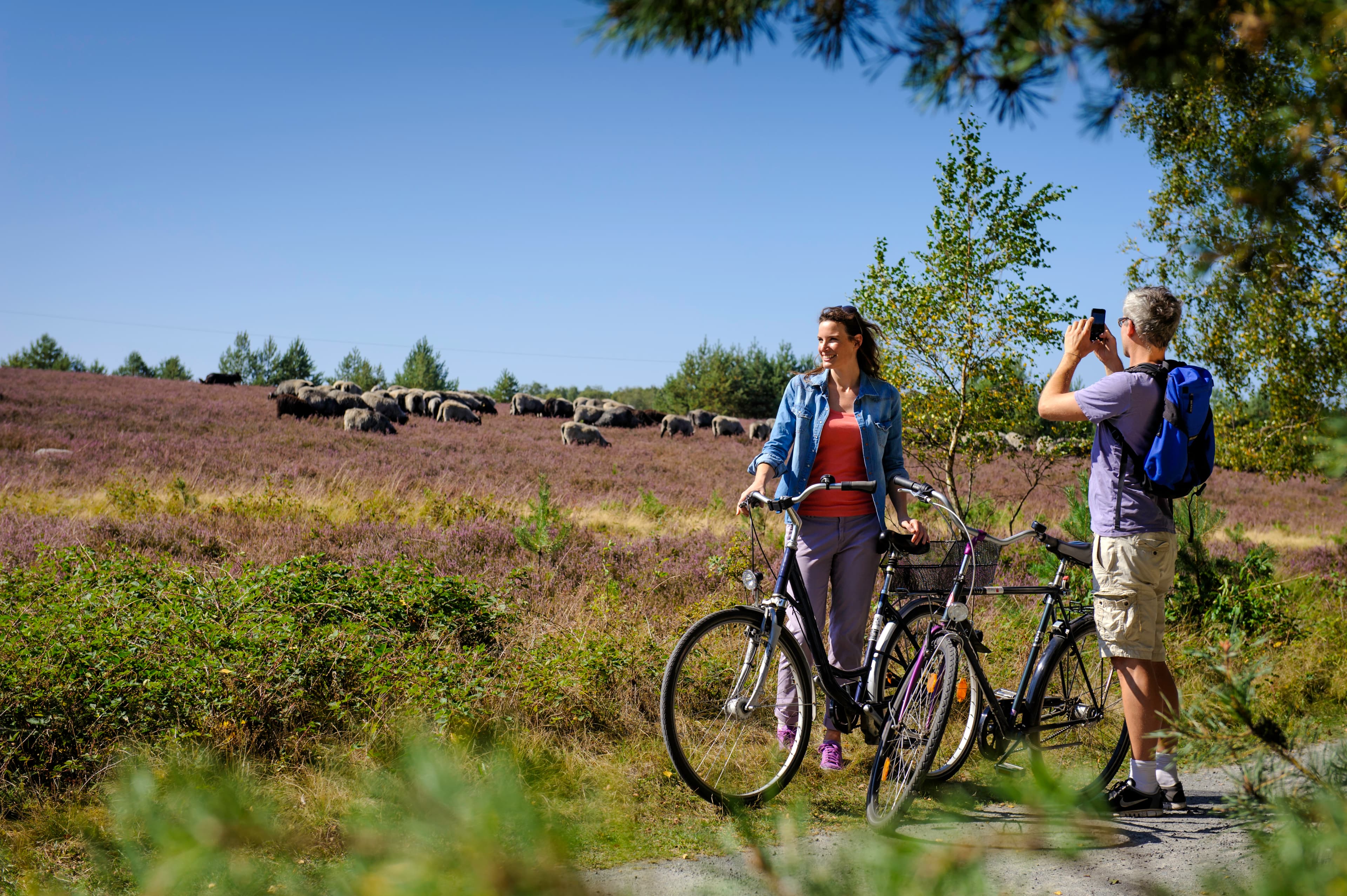 Radfahren im Naturpark Südheide