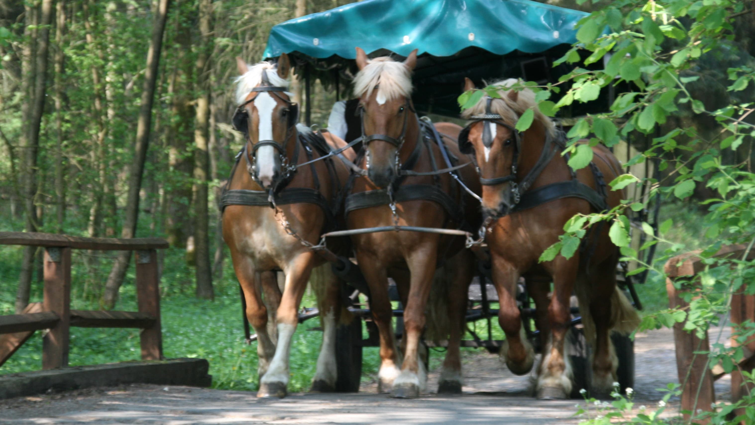 Utspann - Familie zum Berge