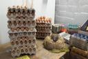 Der Hofladen in Scheller in Langlingen bezieht sein Angebot an Eiern aus der Hühnerfarm von Kai Krüger in Flettmar.